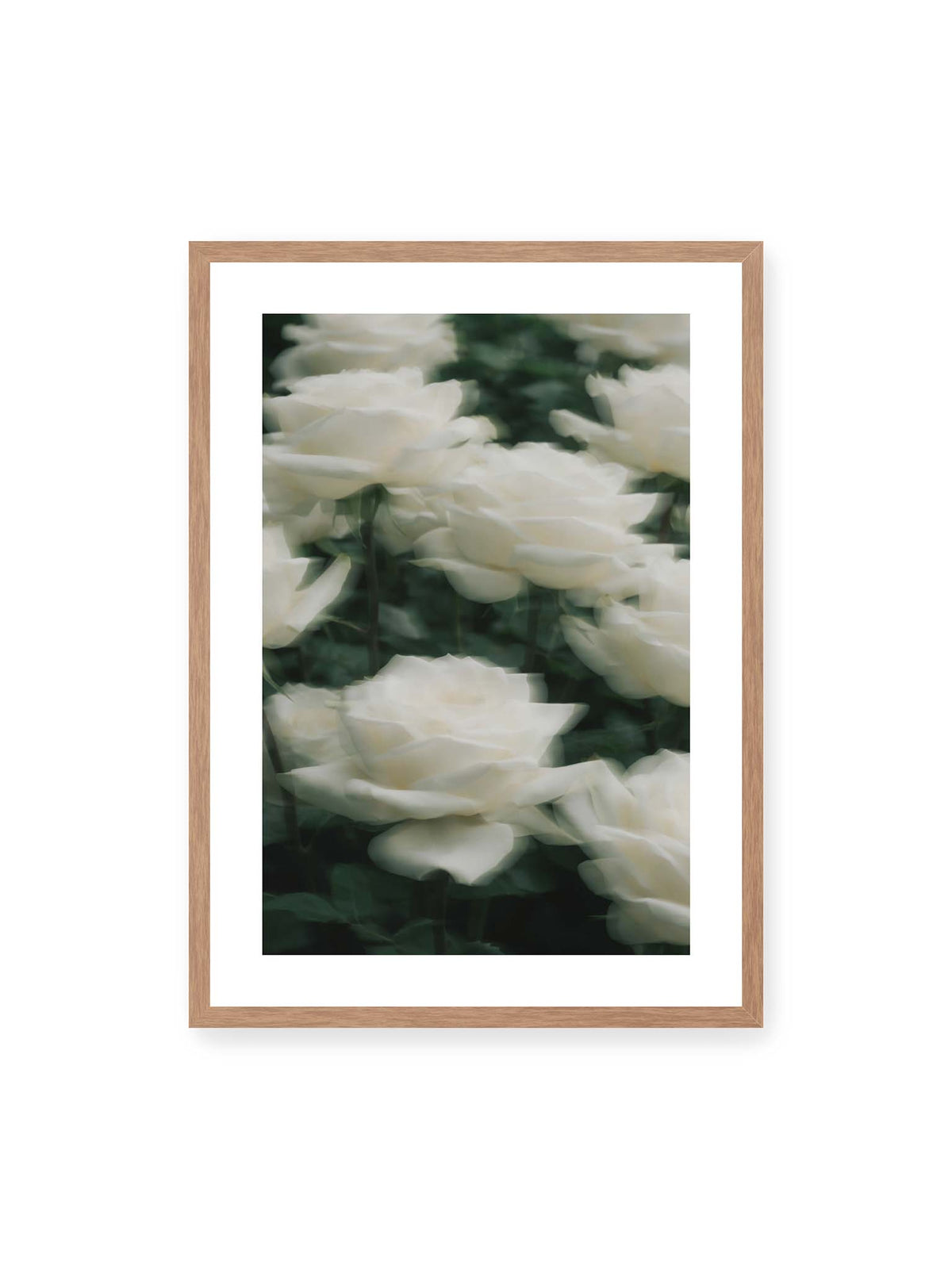 Bloom Through Motion