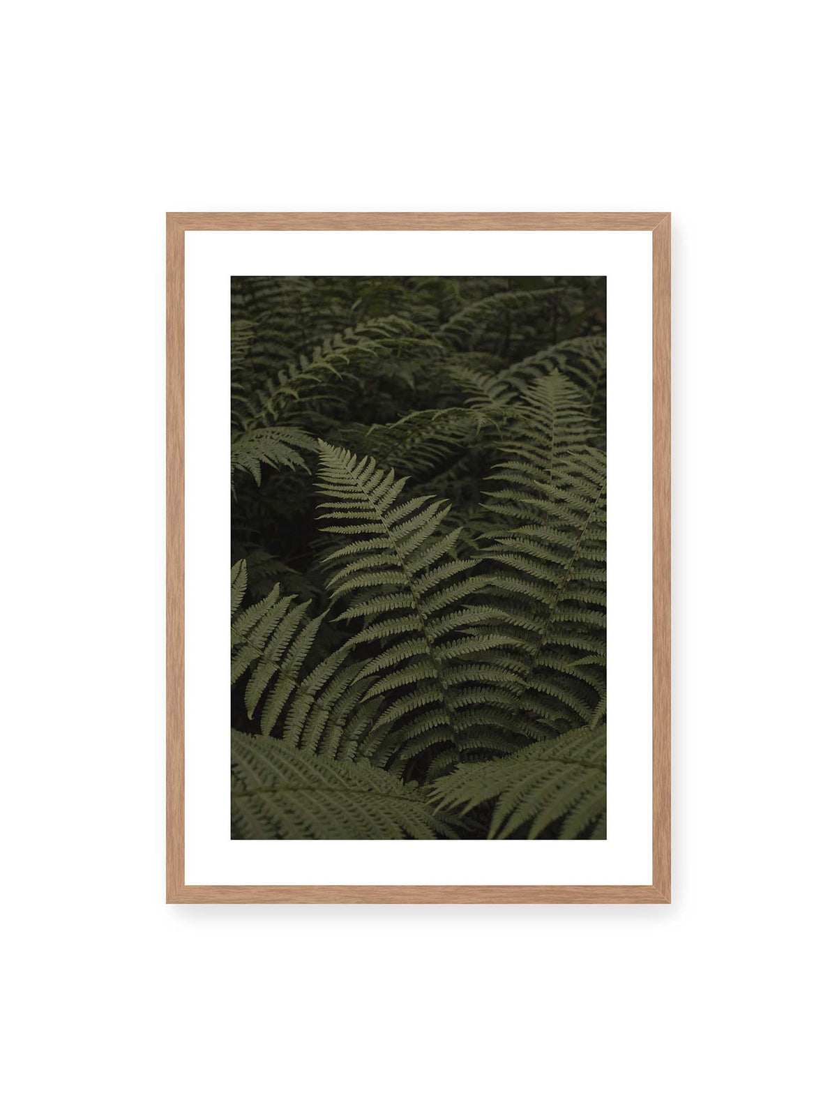 Fronds Layered Deep