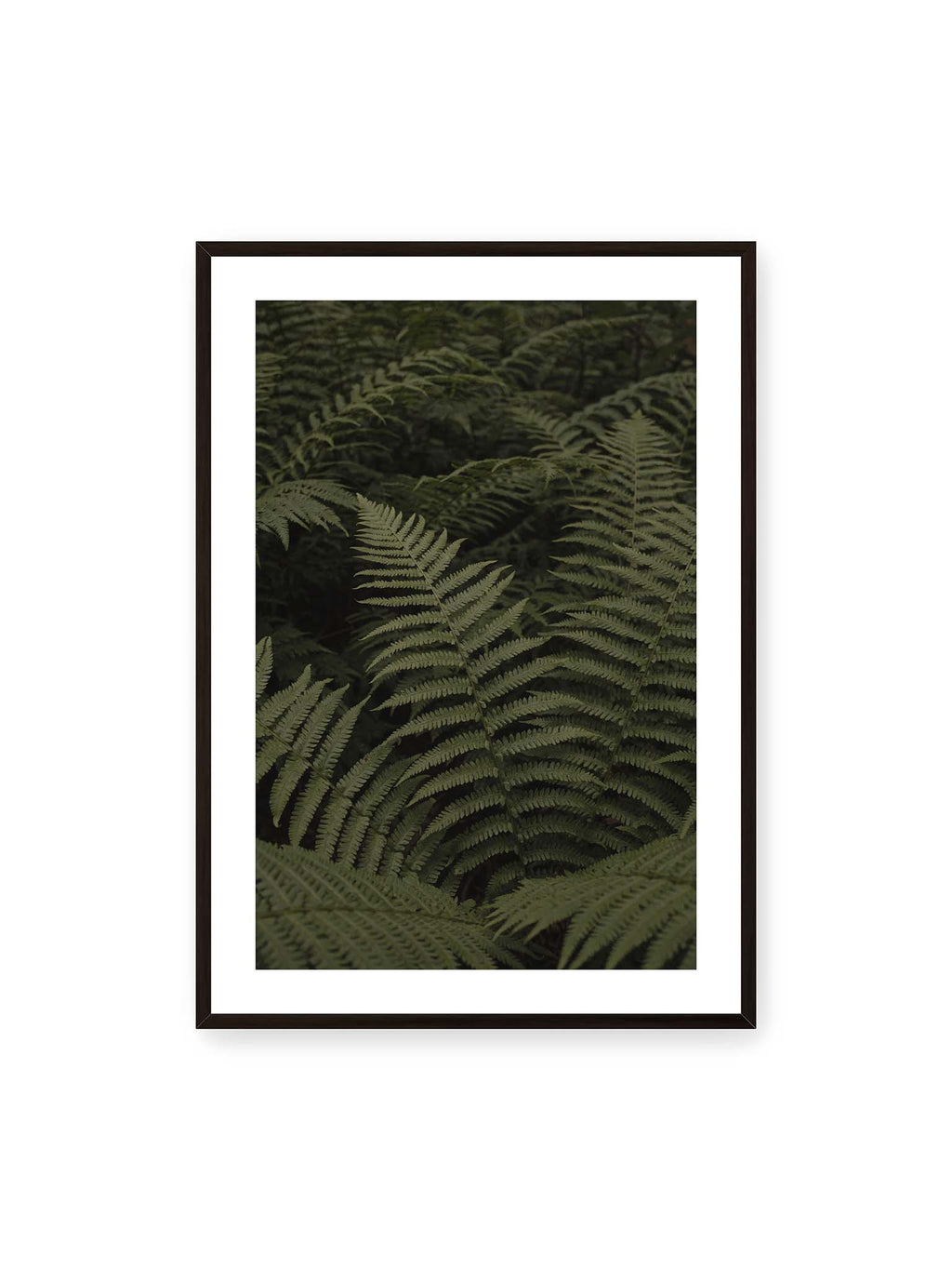70x100 cm, weißer Galerie-Rand, schwarzer Rahmen – Dicht überlagerte grüne Farnwedel mit feinen Blattstrukturen und tiefen Schatten.