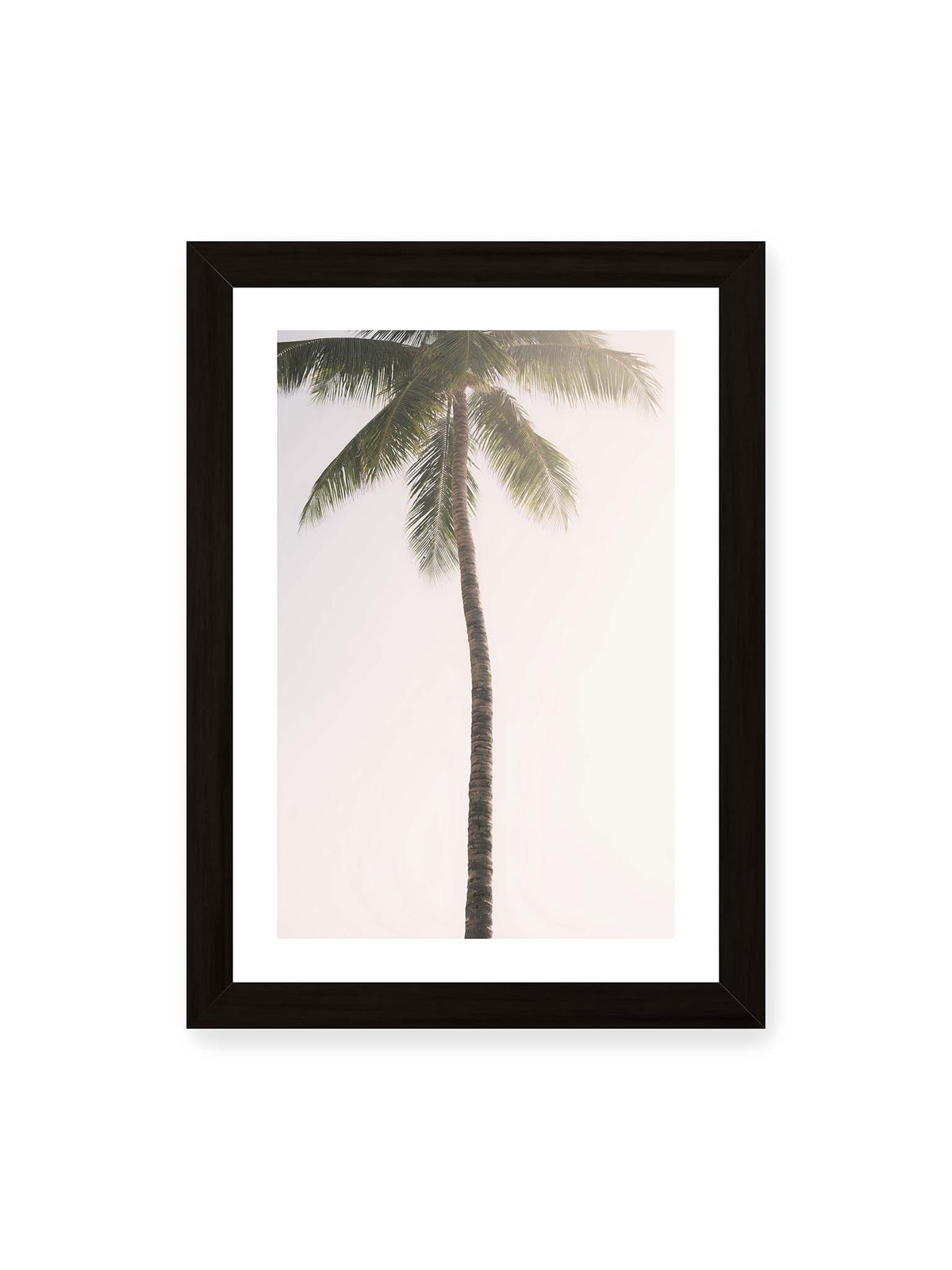21x30 cm, weißer Galerie-Rand, schwarzer Rahmen – Einzelne hohe Palme mit schlankem Stamm und ausladenden grünen Wedeln vor einem fast weißen Himmel.