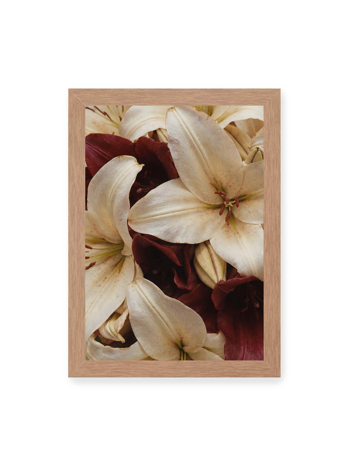 21x30 cm, Eichenrahmen – Helle und dunkelrote Lilien liegen dicht übereinander, mit sichtbaren Staubgefäßen und geschlossenen Knospen.