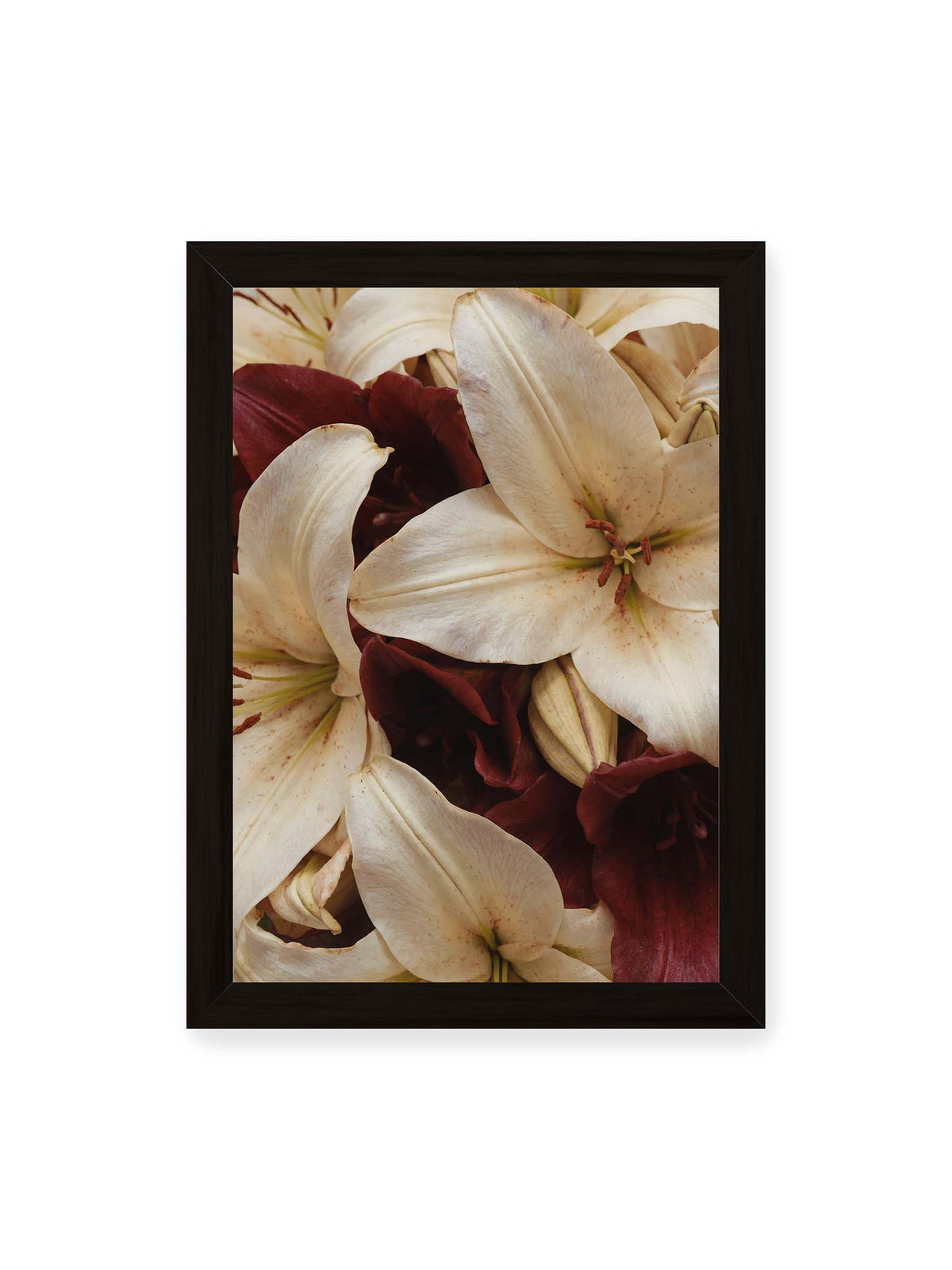 21x30 cm, schwarzer Rahmen – Helle und dunkelrote Lilien liegen dicht übereinander, mit sichtbaren Staubgefäßen und geschlossenen Knospen.