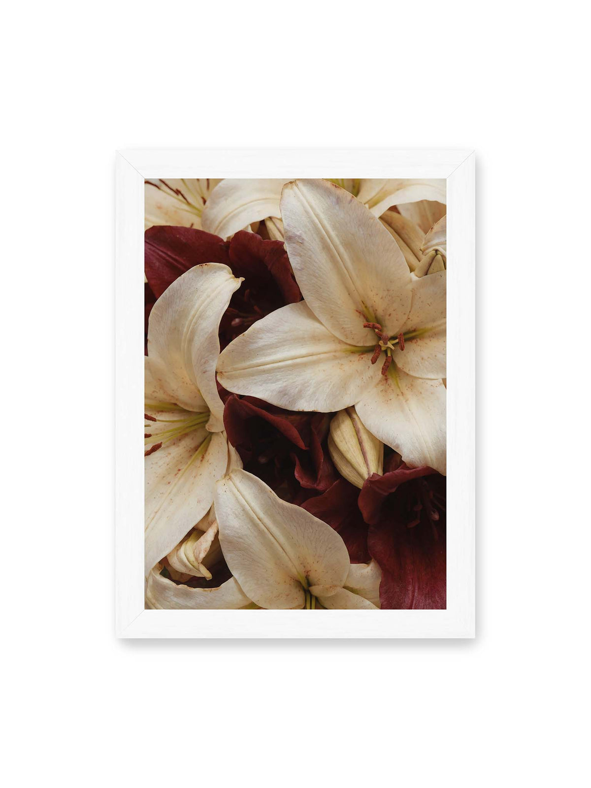 21x30 cm, weißer Rahmen – Helle und dunkelrote Lilien liegen dicht übereinander, mit sichtbaren Staubgefäßen und geschlossenen Knospen.