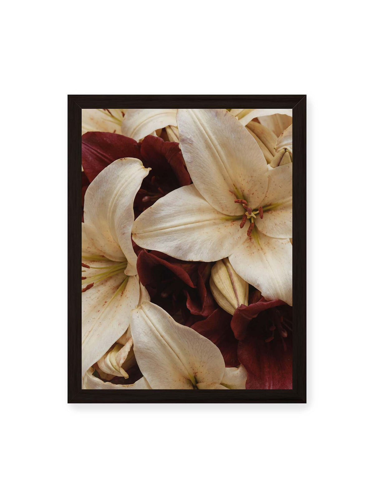 30x40 cm, schwarzer Rahmen – Helle und dunkelrote Lilien liegen dicht übereinander, mit sichtbaren Staubgefäßen und geschlossenen Knospen.