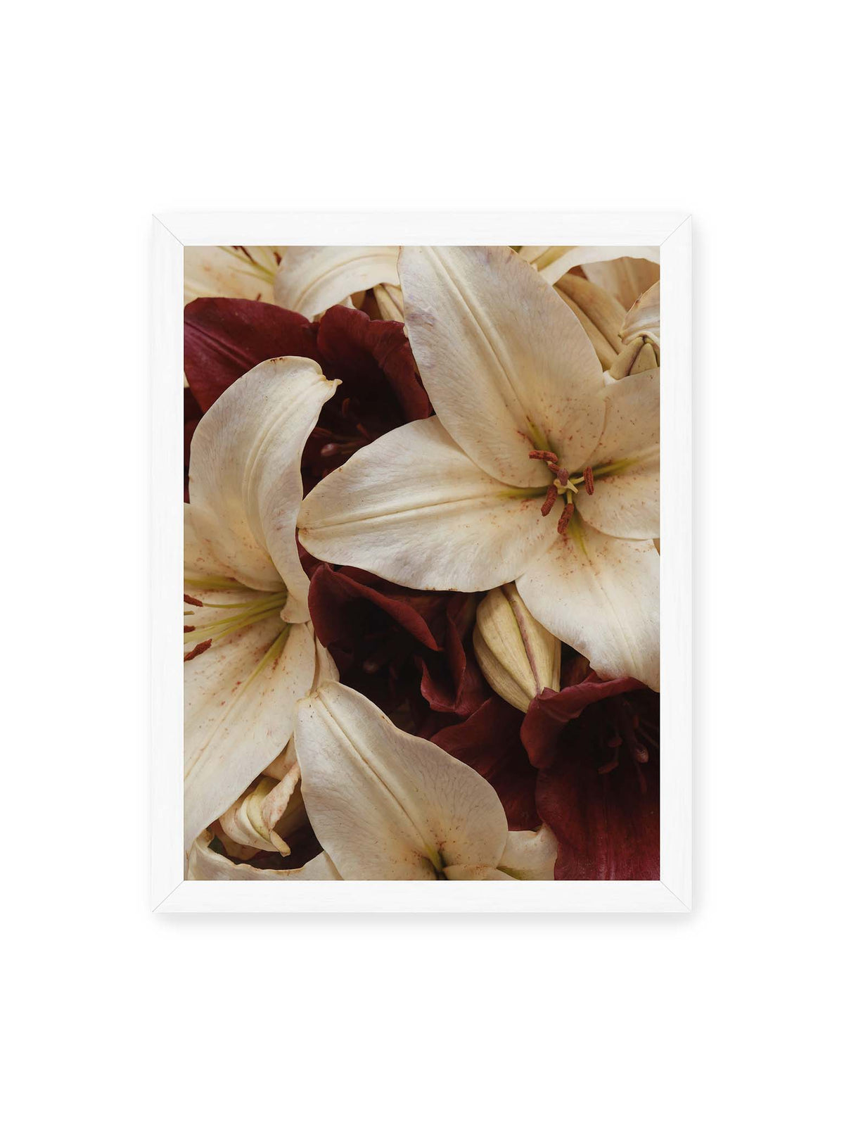 30x40 cm, weißer Rahmen – Helle und dunkelrote Lilien liegen dicht übereinander, mit sichtbaren Staubgefäßen und geschlossenen Knospen.