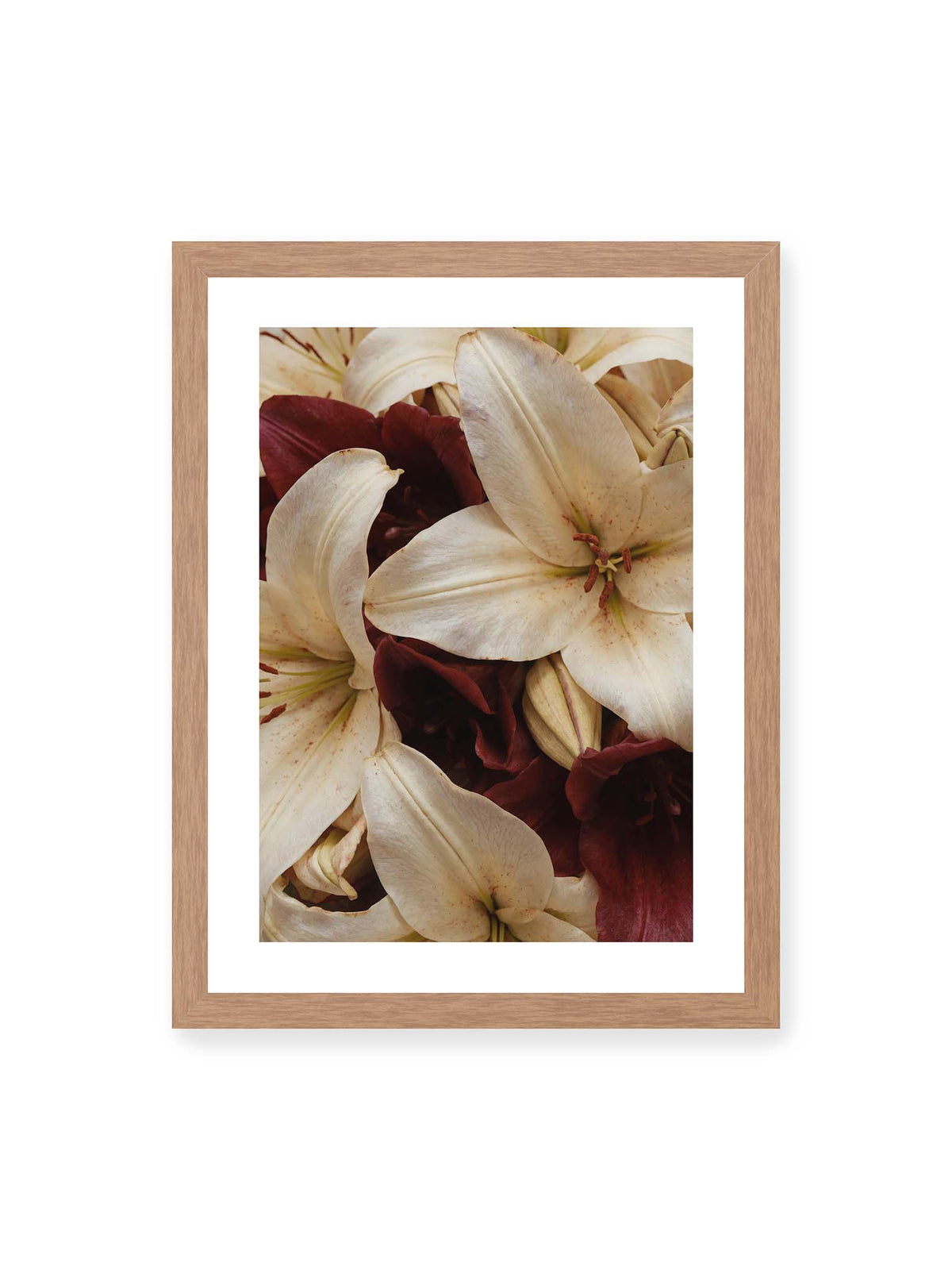30x40 cm, weißer Galerie-Rand, Eichenrahmen – Helle und dunkelrote Lilien liegen dicht übereinander, mit sichtbaren Staubgefäßen und geschlossenen Knospen.