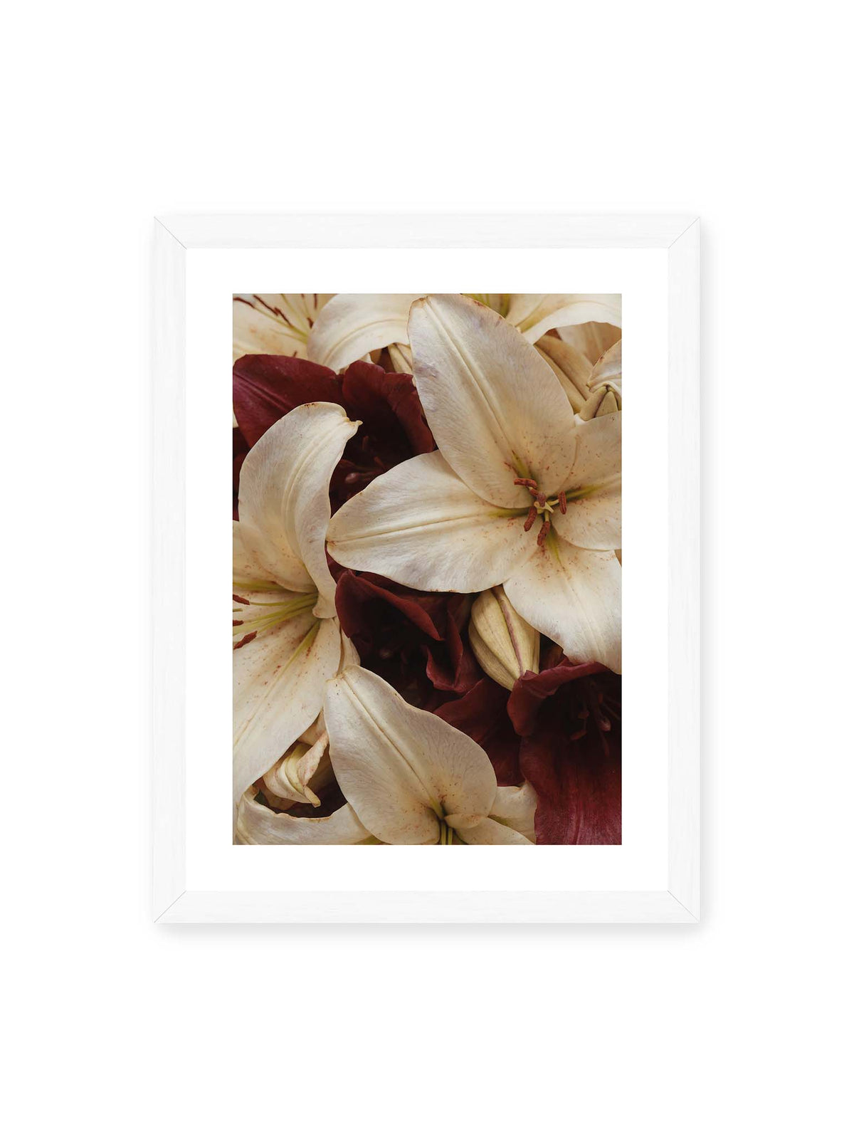30x40 cm, weißer Galerie-Rand, weißer Rahmen – Helle und dunkelrote Lilien liegen dicht übereinander, mit sichtbaren Staubgefäßen und geschlossenen Knospen.