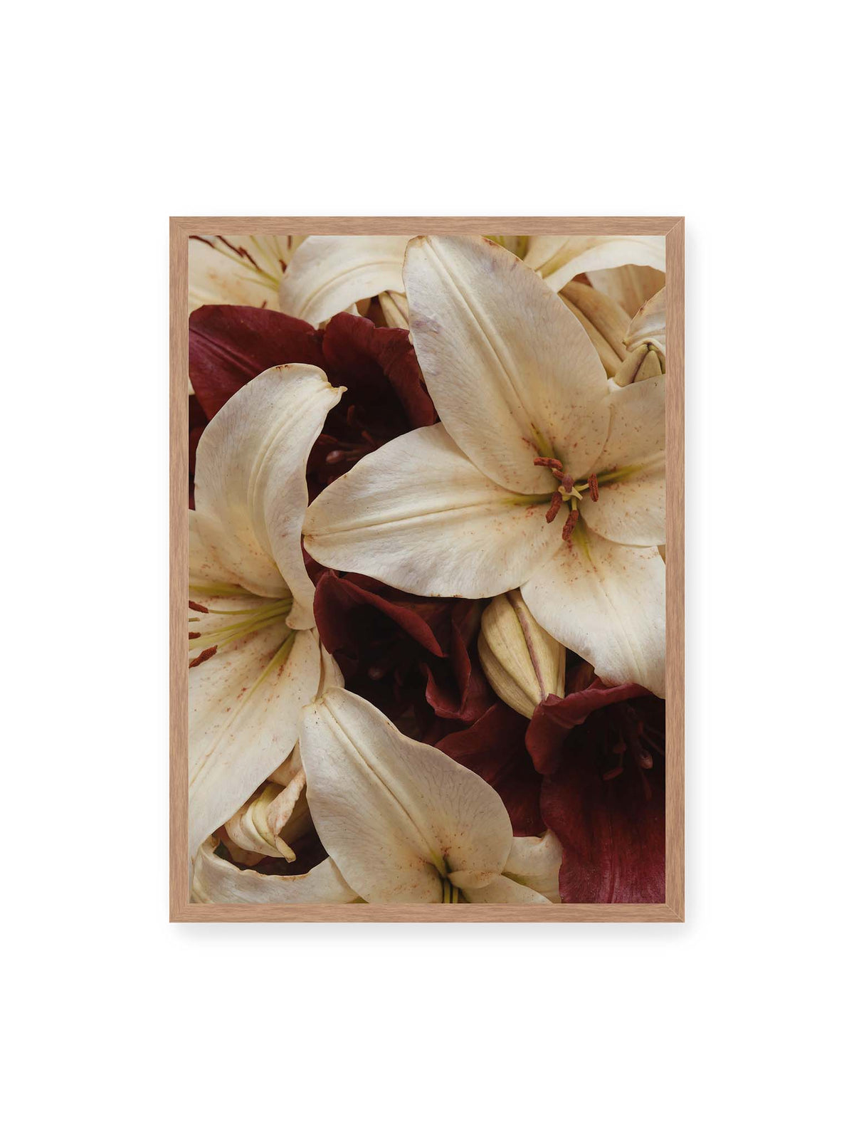 50x70 cm, Eichenrahmen – Helle und dunkelrote Lilien liegen dicht übereinander, mit sichtbaren Staubgefäßen und geschlossenen Knospen.