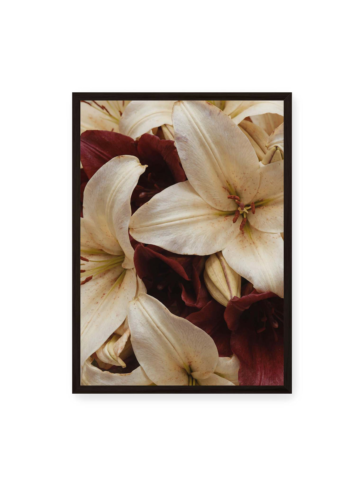 50x70 cm, schwarzer Rahmen – Helle und dunkelrote Lilien liegen dicht übereinander, mit sichtbaren Staubgefäßen und geschlossenen Knospen.