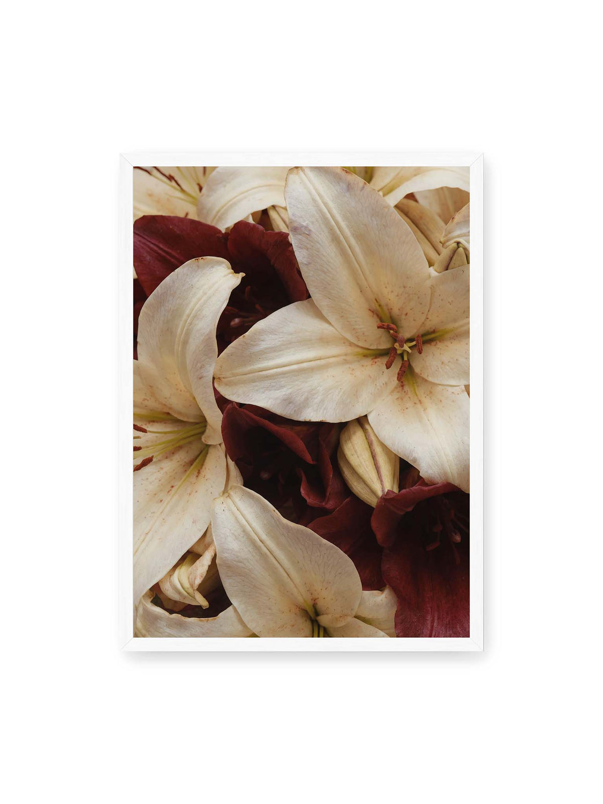 50x70 cm, weißer Rahmen – Helle und dunkelrote Lilien liegen dicht übereinander, mit sichtbaren Staubgefäßen und geschlossenen Knospen.