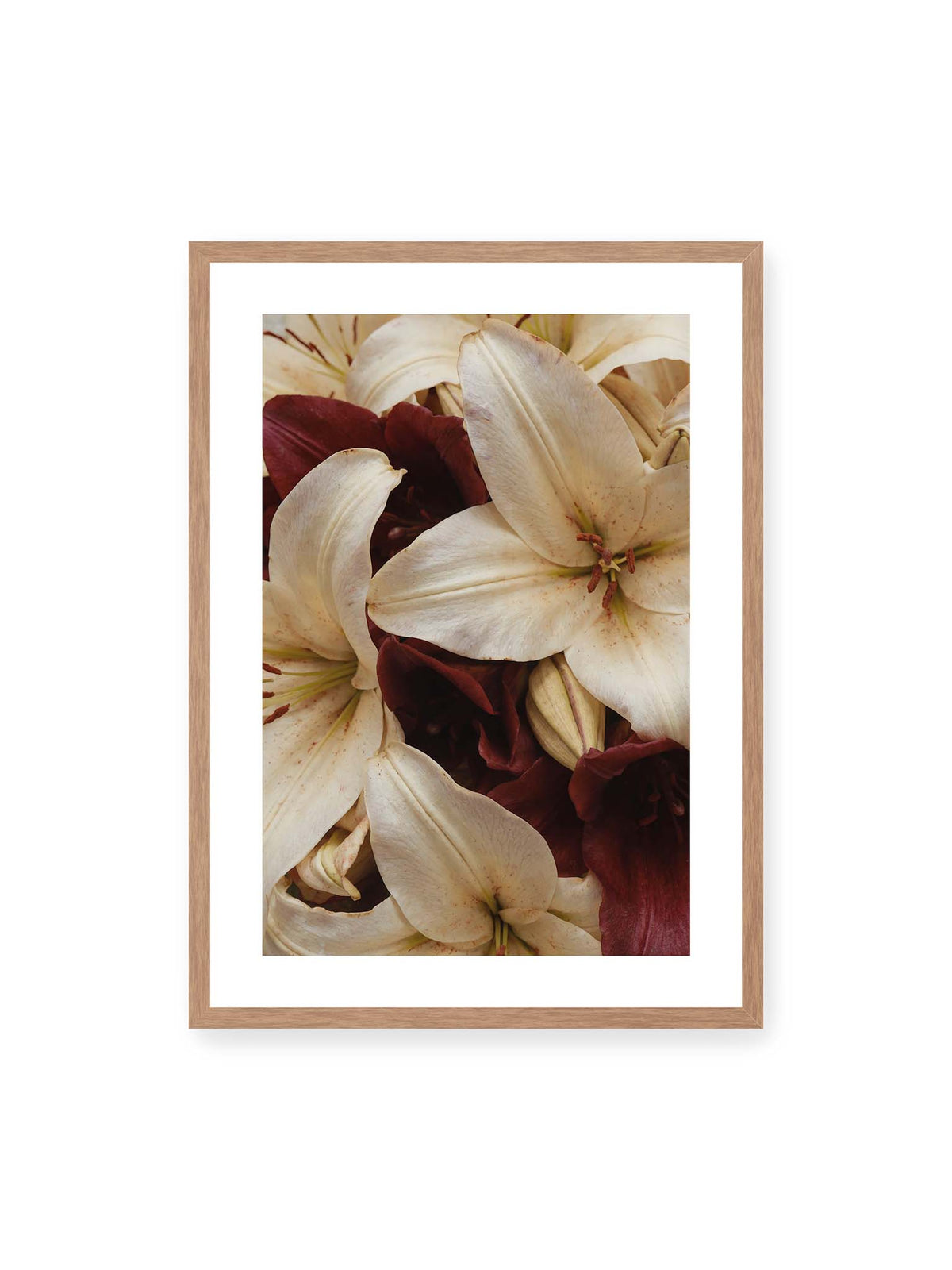 50x70 cm, weißer Galerie-Rand, Eichenrahmen – Helle und dunkelrote Lilien liegen dicht übereinander, mit sichtbaren Staubgefäßen und geschlossenen Knospen.