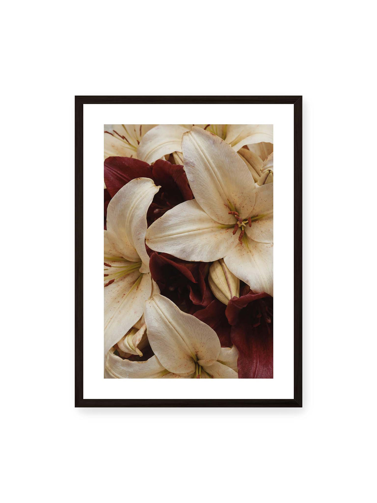 50x70 cm, weißer Galerie-Rand, schwarzer Rahmen – Helle und dunkelrote Lilien liegen dicht übereinander, mit sichtbaren Staubgefäßen und geschlossenen Knospen.