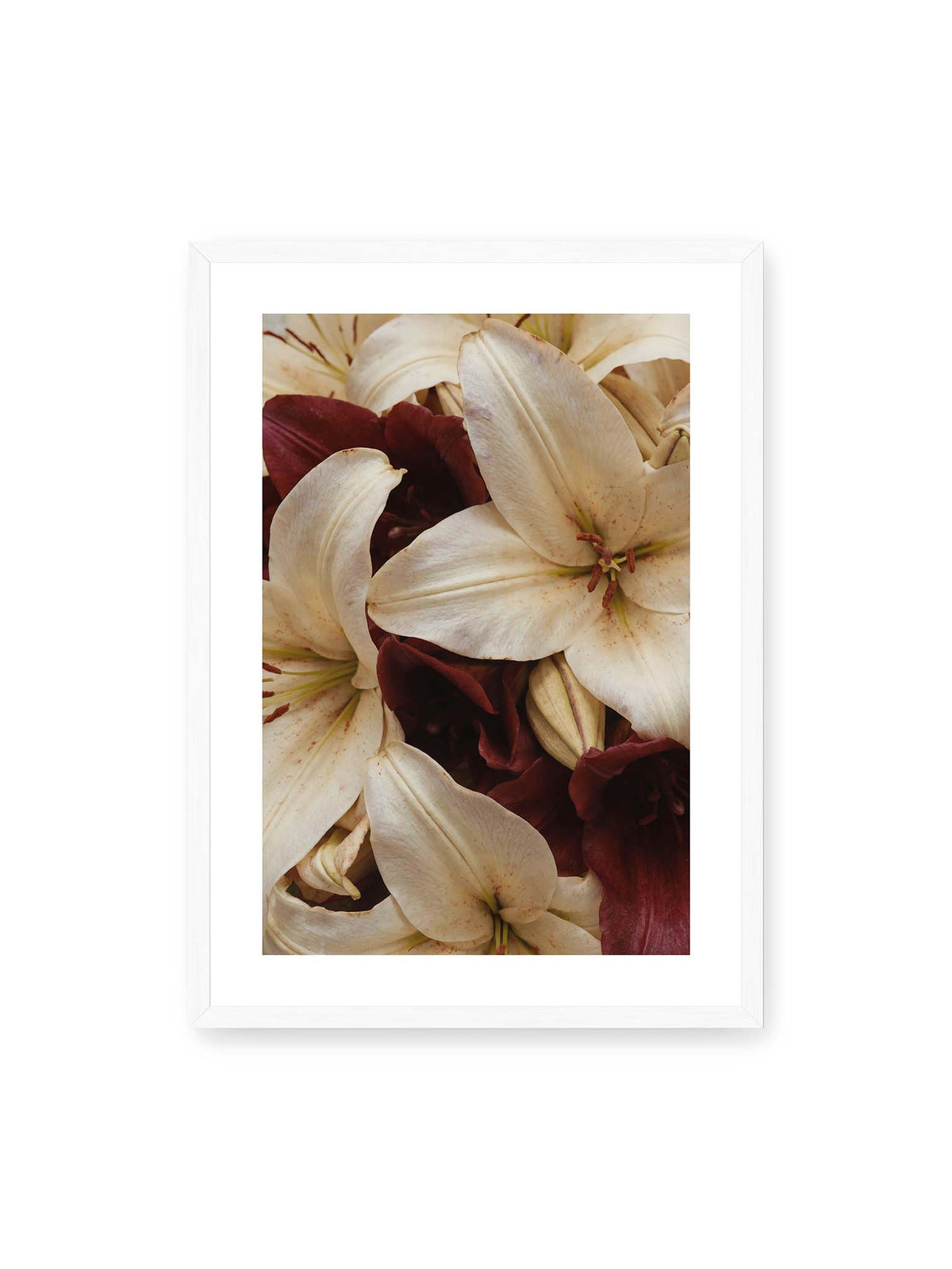 50x70 cm, weißer Galerie-Rand, weißer Rahmen – Helle und dunkelrote Lilien liegen dicht übereinander, mit sichtbaren Staubgefäßen und geschlossenen Knospen.