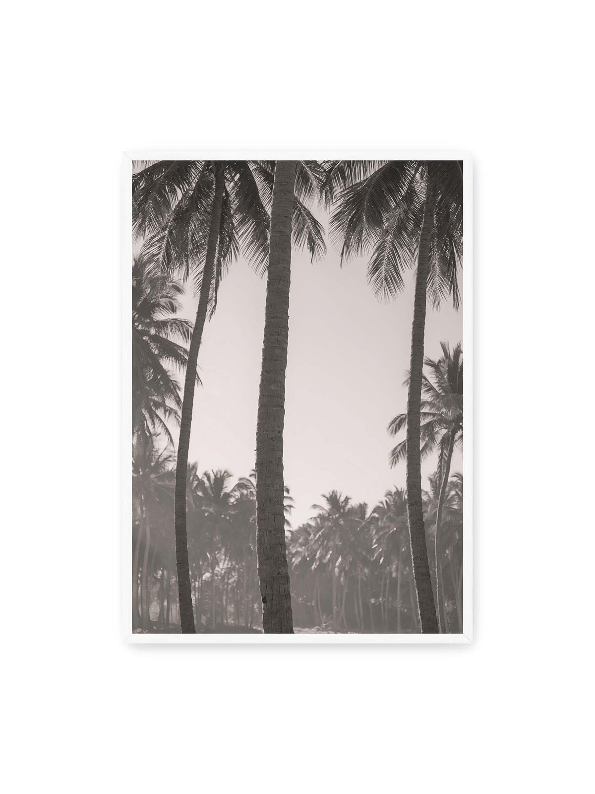 70x100 cm, weißer Rahmen – Hohe Palmenstämme rahmen eine helle Öffnung über dicht gestaffelten Palmen im Hintergrund.