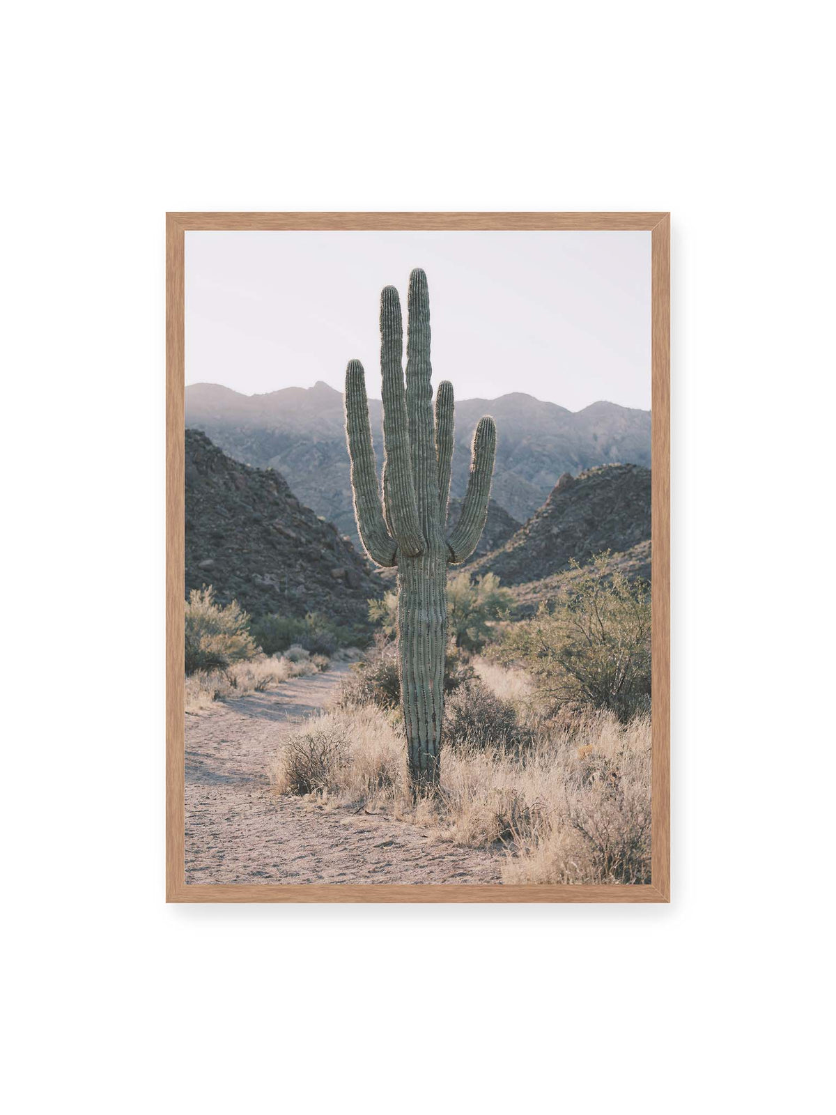 50x70 cm, Eichenrahmen – Hoher Kaktus vor felsigen Berghängen, trockenem Gras und einem sandigen Weg.