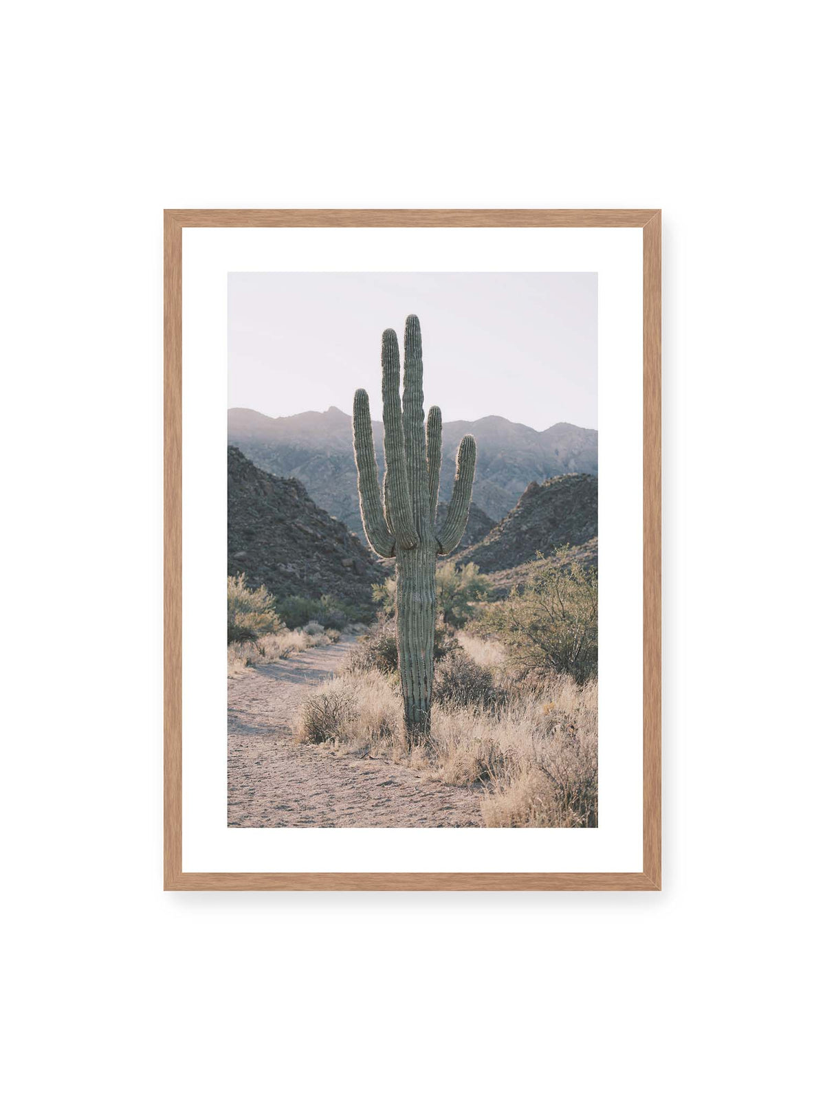 The Desert Sentinel