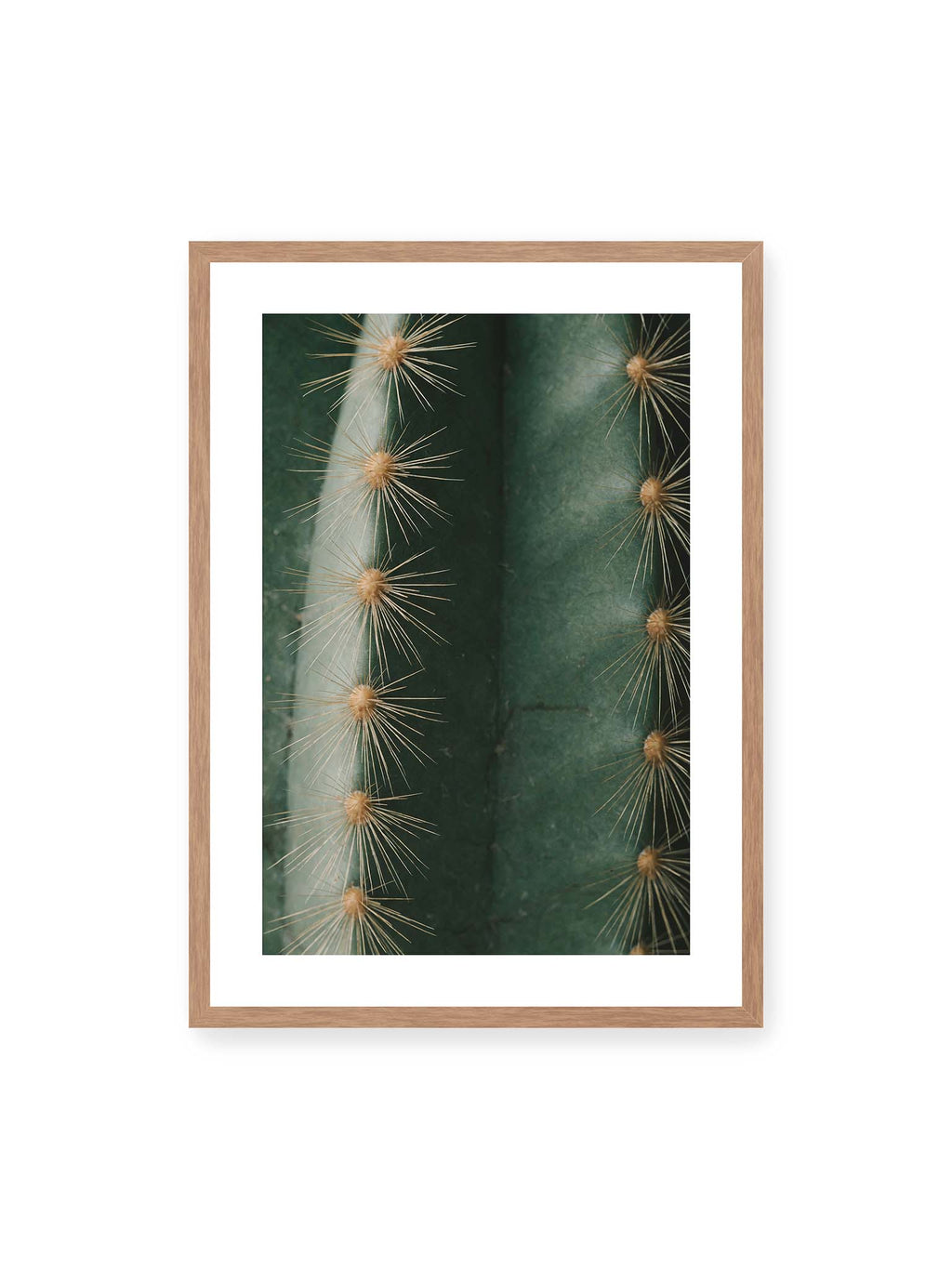 Desert Jewels