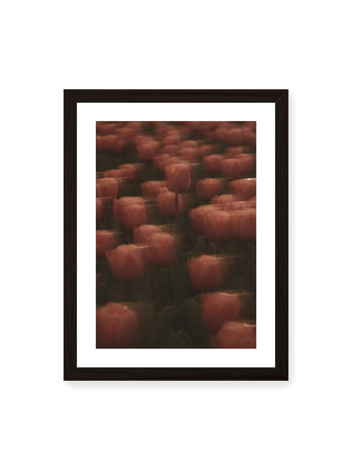 30x40 cm, weißer Galerie-Rand, schwarzer Rahmen – Rosafarbene Tulpen mit weichen, bewegten Konturen und einer klareren Blüte nahe der Bildmitte.