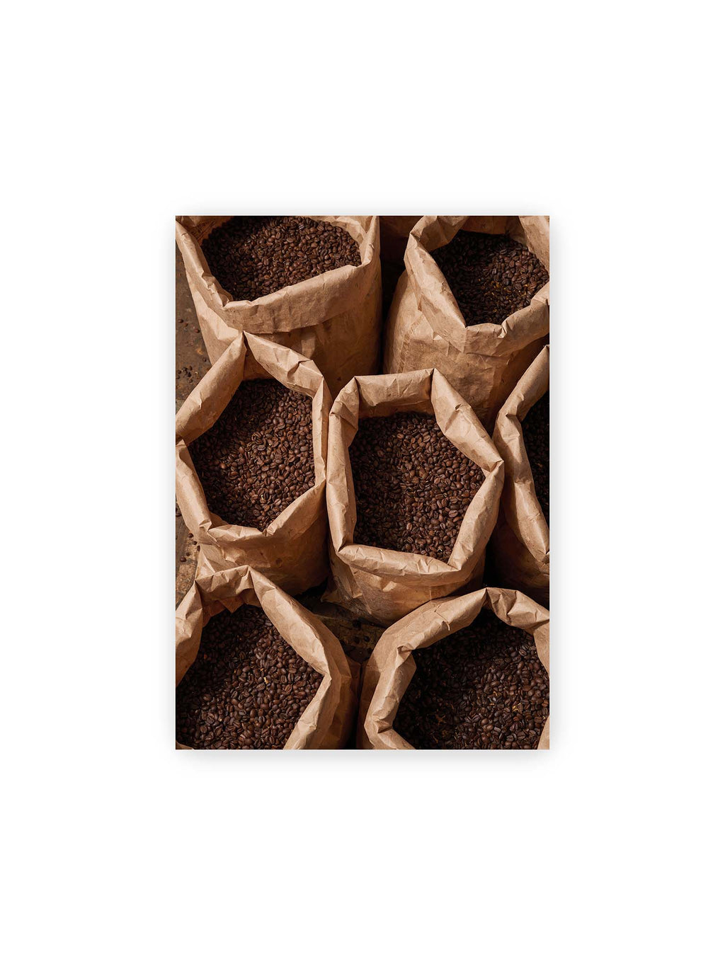 21x30 cm – Offene braune Papiersäcke voller dunkel gerösteter Kaffeebohnen aus erhöhter Perspektive.