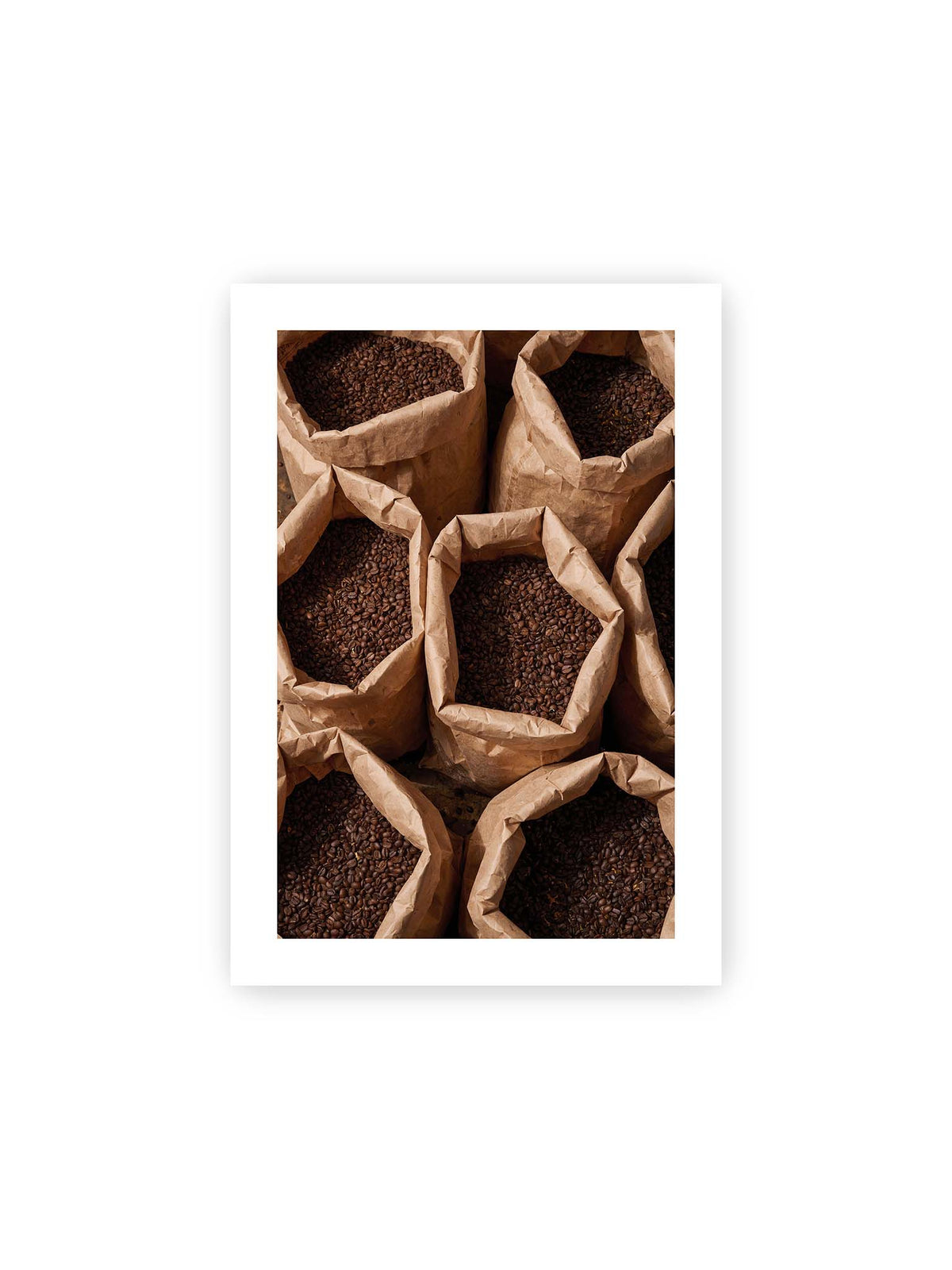 21x30 cm, weißer Galerie-Rand – Offene braune Papiersäcke voller dunkel gerösteter Kaffeebohnen aus erhöhter Perspektive.