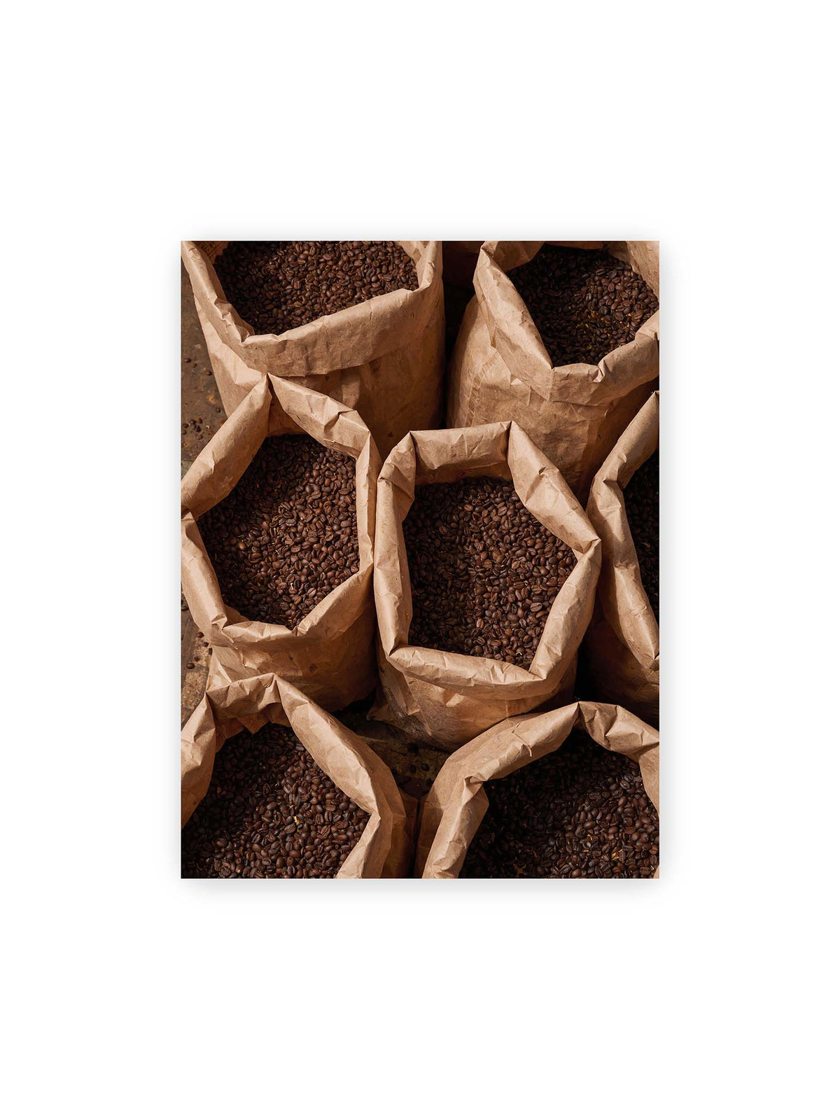 30x40 cm – Offene braune Papiersäcke voller dunkel gerösteter Kaffeebohnen aus erhöhter Perspektive.