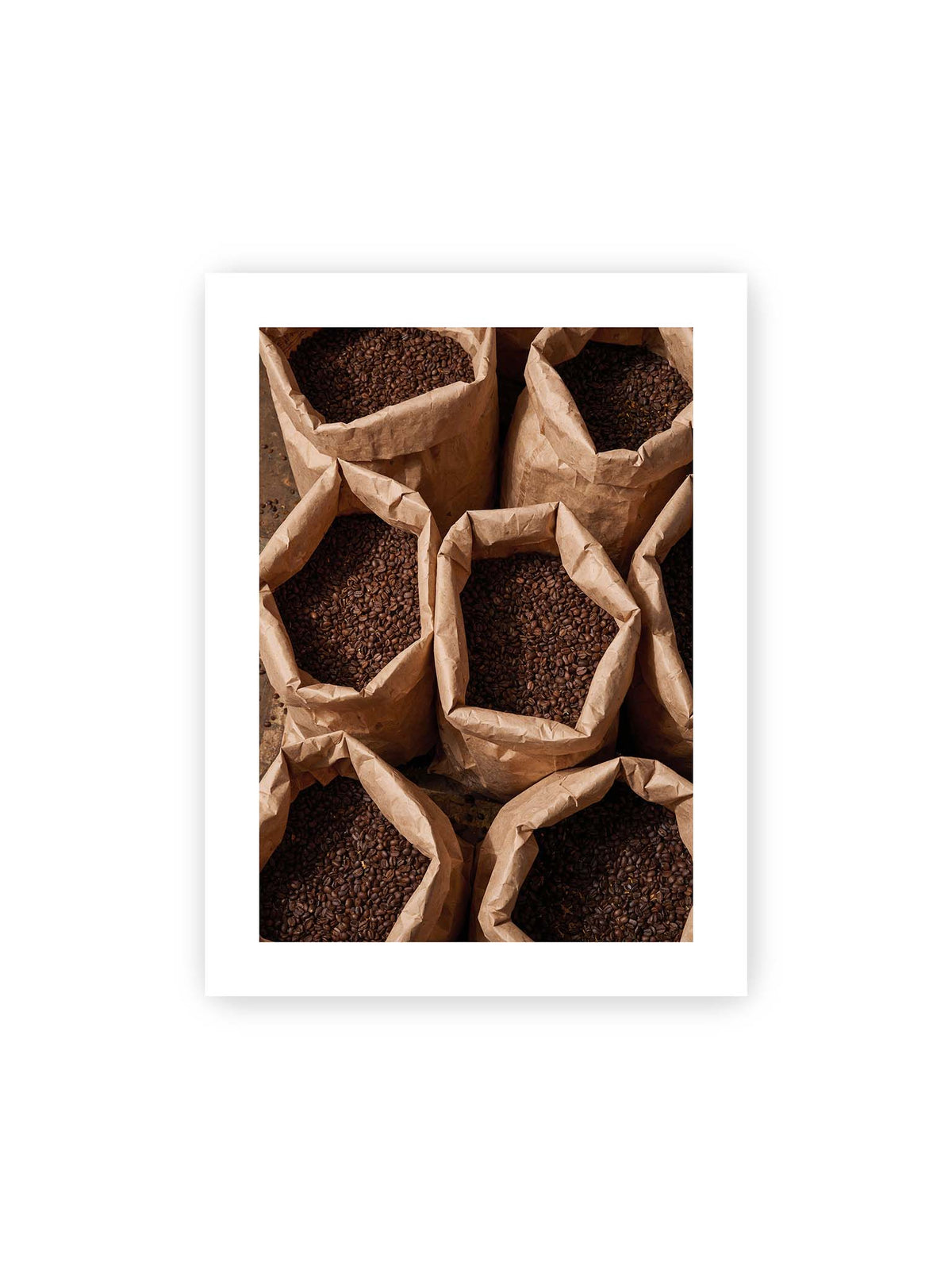 30x40 cm, weißer Galerie-Rand – Offene braune Papiersäcke voller dunkel gerösteter Kaffeebohnen aus erhöhter Perspektive.