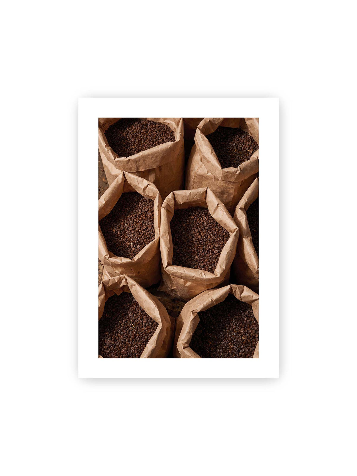 50x70 cm, weißer Galerie-Rand – Offene braune Papiersäcke voller dunkel gerösteter Kaffeebohnen aus erhöhter Perspektive.