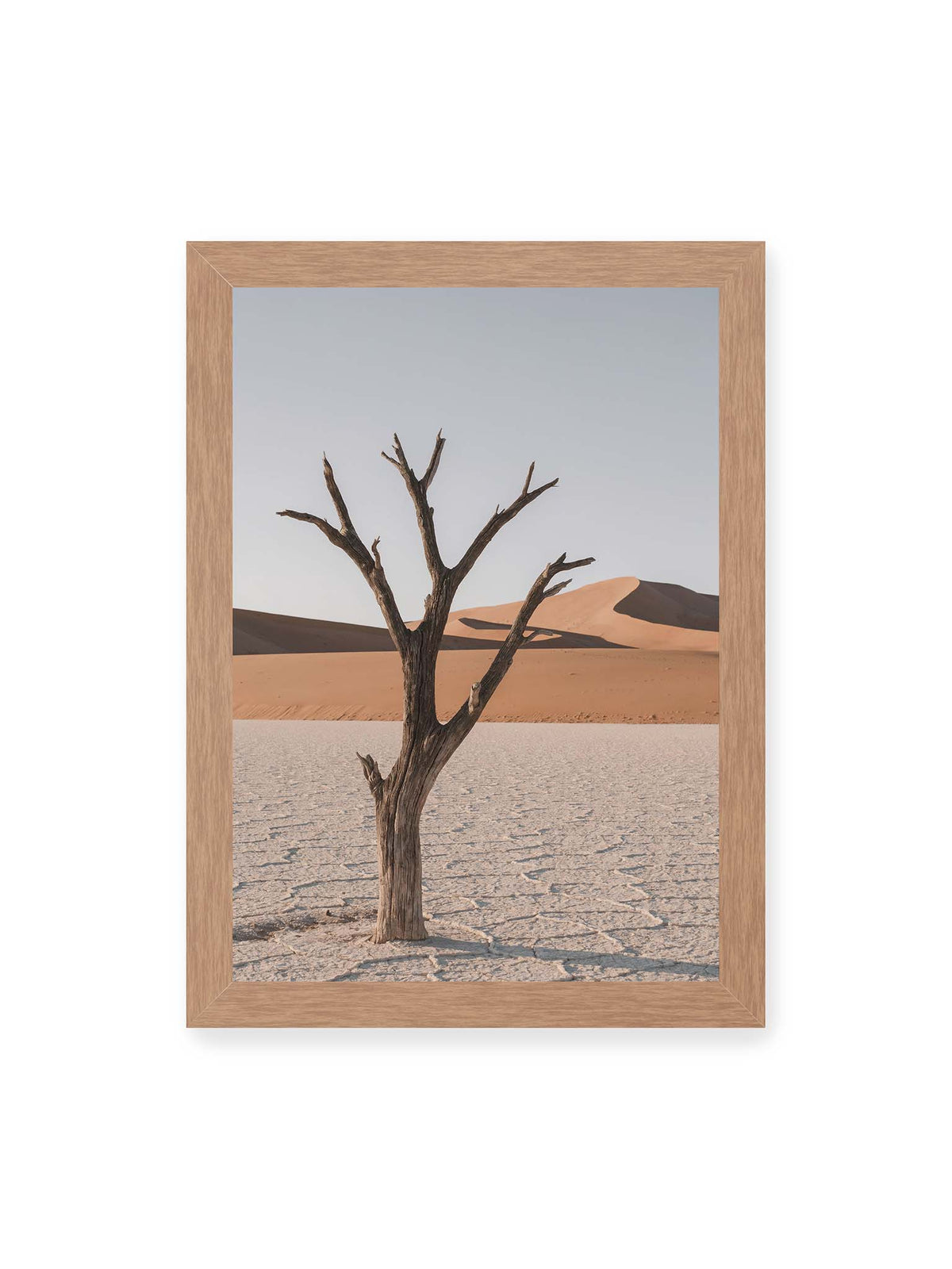 21x30 cm, Eichenrahmen – Kahler Baum auf hellem, rissigem Boden vor orangefarbenen Sanddünen unter blassem Himmel.