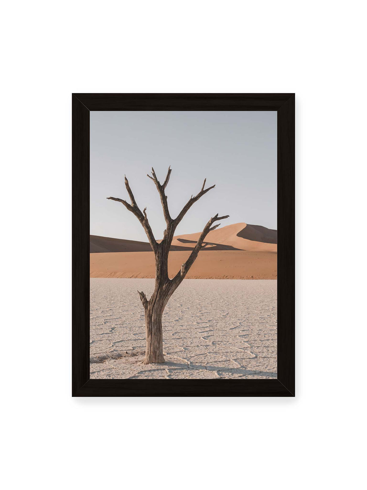 21x30 cm, schwarzer Rahmen – Kahler Baum auf hellem, rissigem Boden vor orangefarbenen Sanddünen unter blassem Himmel.