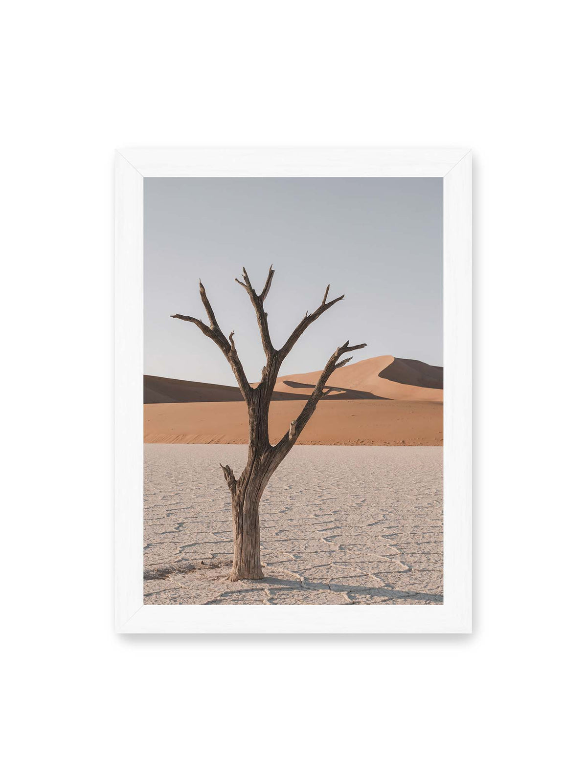 21x30 cm, weißer Rahmen – Kahler Baum auf hellem, rissigem Boden vor orangefarbenen Sanddünen unter blassem Himmel.