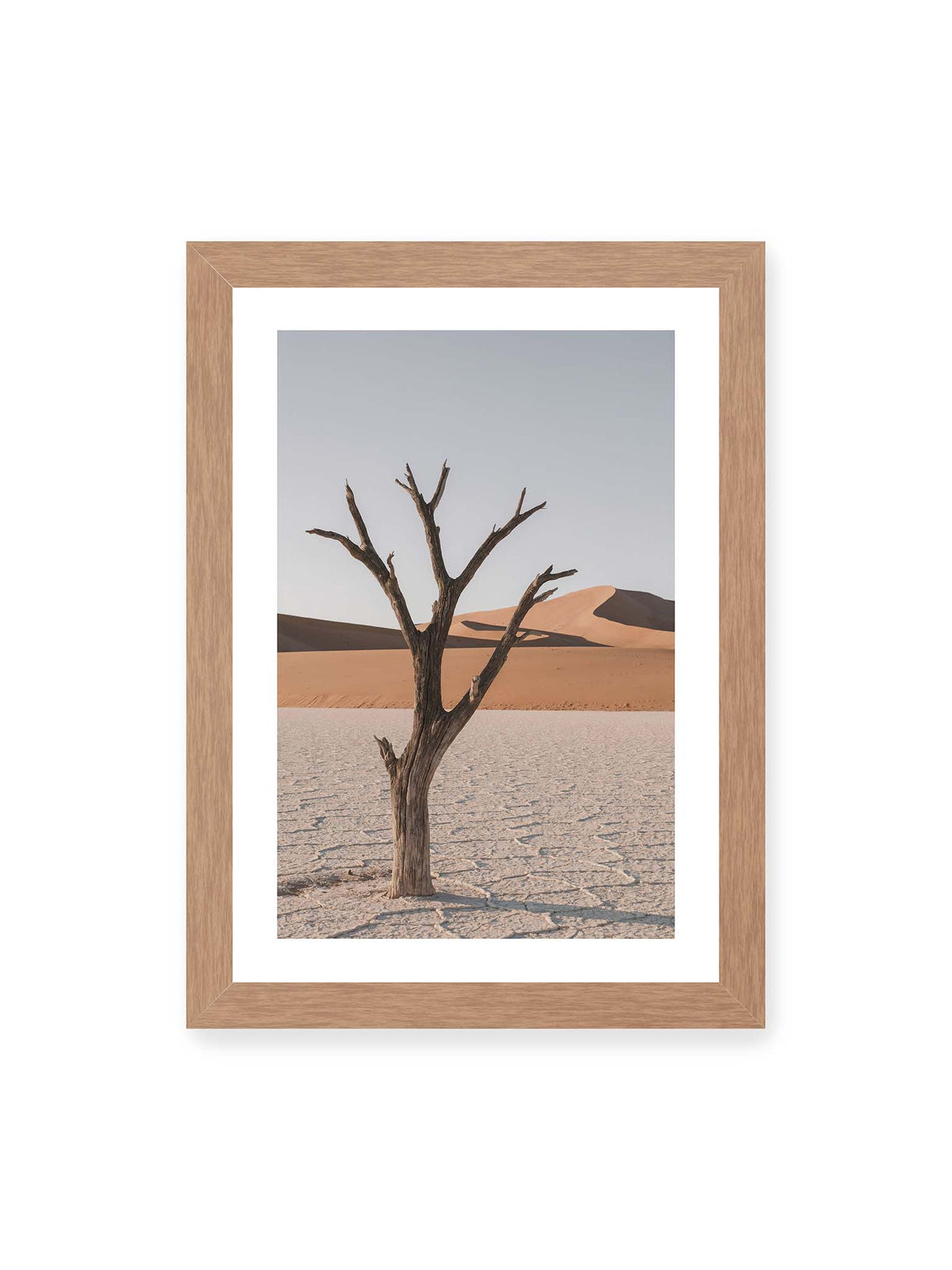 21x30 cm, weißer Galerie-Rand, Eichenrahmen – Kahler Baum auf hellem, rissigem Boden vor orangefarbenen Sanddünen unter blassem Himmel.