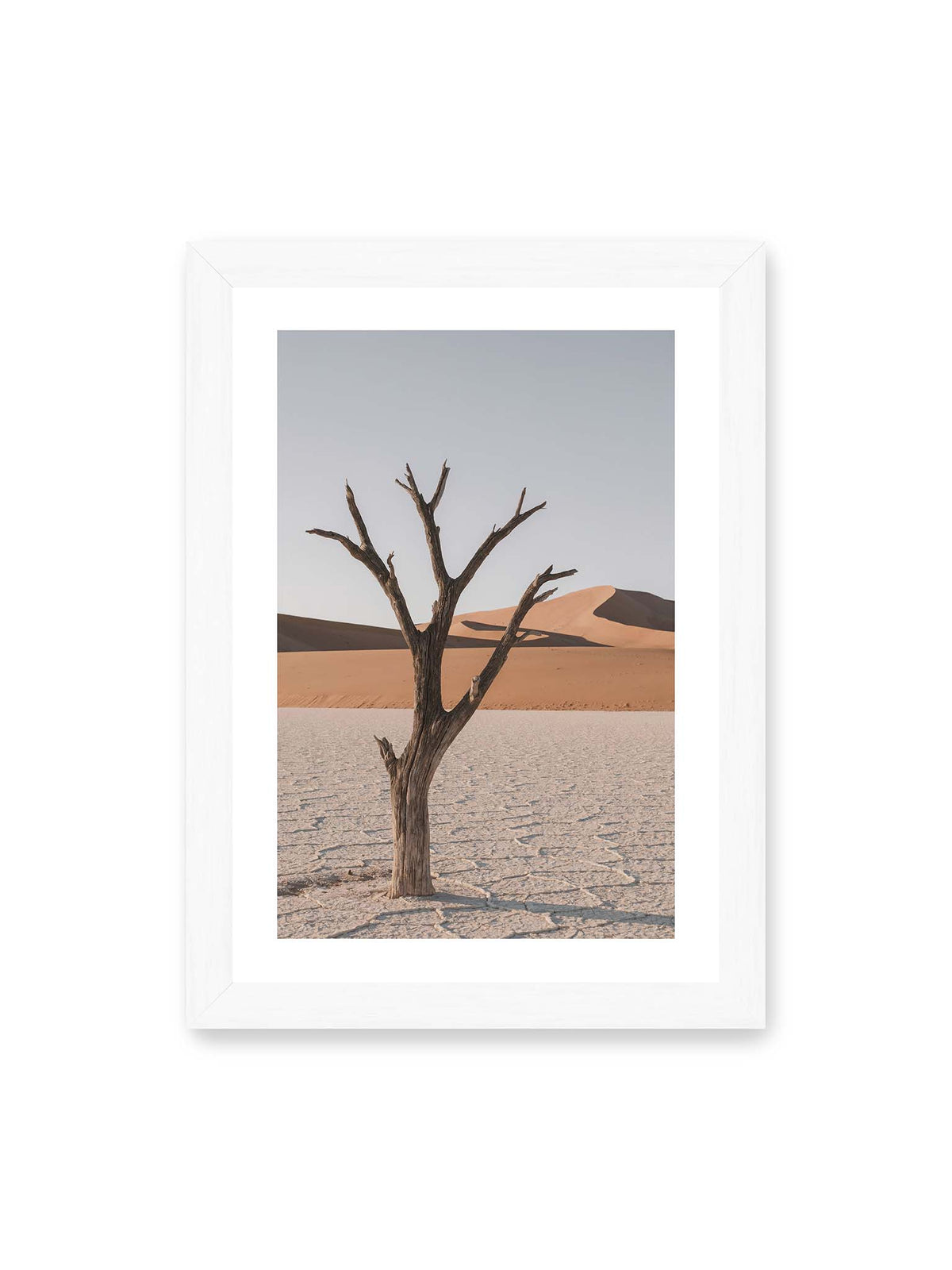 21x30 cm, weißer Galerie-Rand, weißer Rahmen – Kahler Baum auf hellem, rissigem Boden vor orangefarbenen Sanddünen unter blassem Himmel.