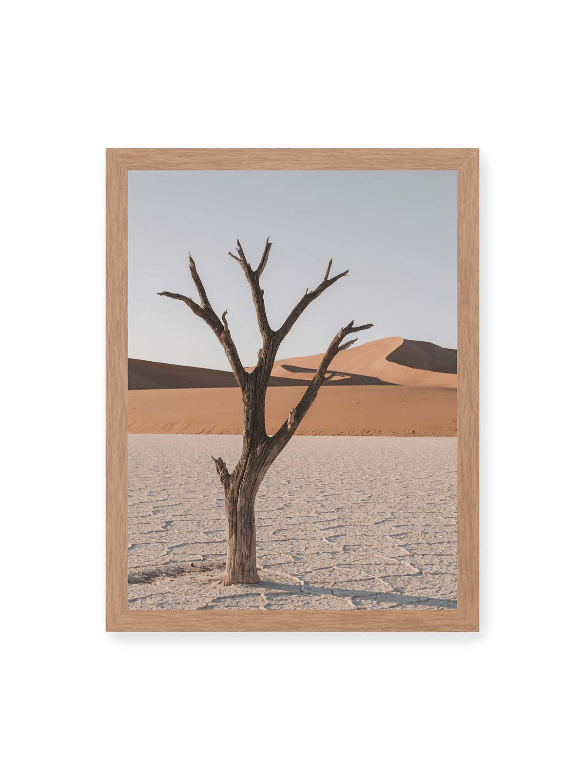 30x40 cm, Eichenrahmen – Kahler Baum auf hellem, rissigem Boden vor orangefarbenen Sanddünen unter blassem Himmel.