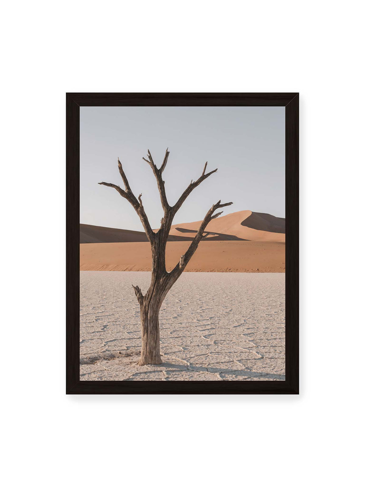30x40 cm, schwarzer Rahmen – Kahler Baum auf hellem, rissigem Boden vor orangefarbenen Sanddünen unter blassem Himmel.
