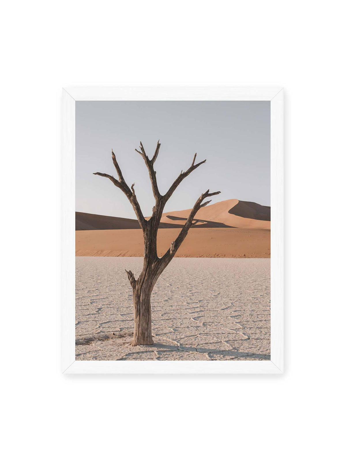 30x40 cm, weißer Rahmen – Kahler Baum auf hellem, rissigem Boden vor orangefarbenen Sanddünen unter blassem Himmel.
