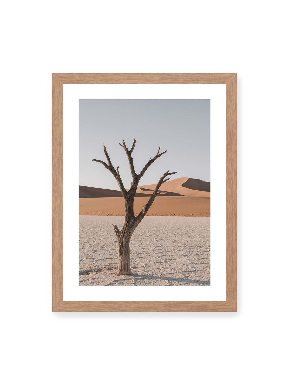 30x40 cm, weißer Galerie-Rand, Eichenrahmen – Kahler Baum auf hellem, rissigem Boden vor orangefarbenen Sanddünen unter blassem Himmel.