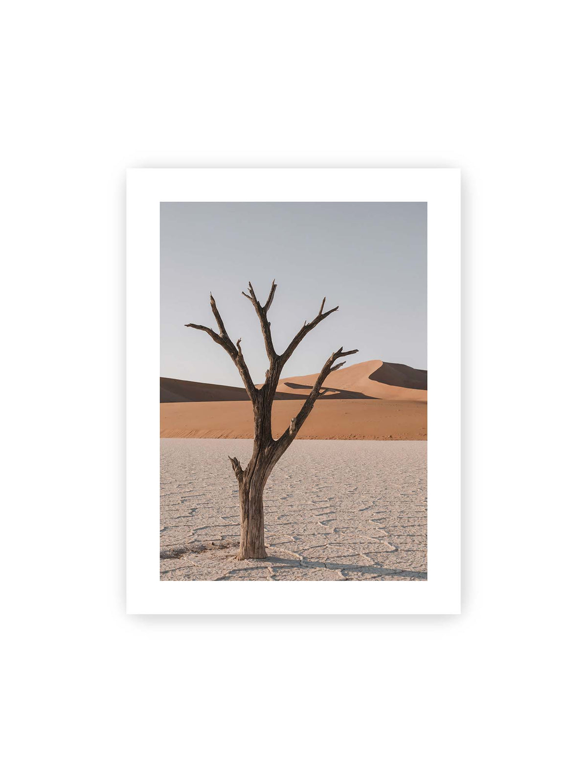 30x40 cm, weißer Galerie-Rand – Kahler Baum auf hellem, rissigem Boden vor orangefarbenen Sanddünen unter blassem Himmel.