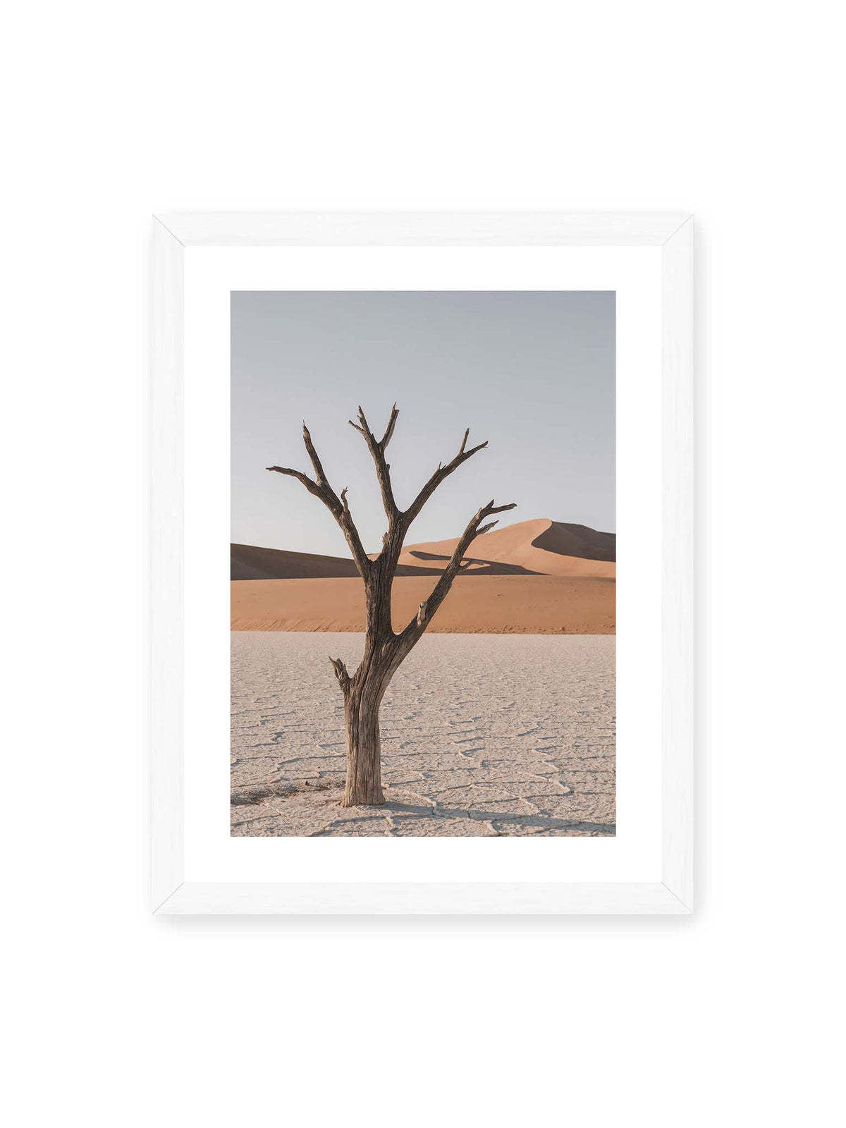 30x40 cm, weißer Galerie-Rand, weißer Rahmen – Kahler Baum auf hellem, rissigem Boden vor orangefarbenen Sanddünen unter blassem Himmel.