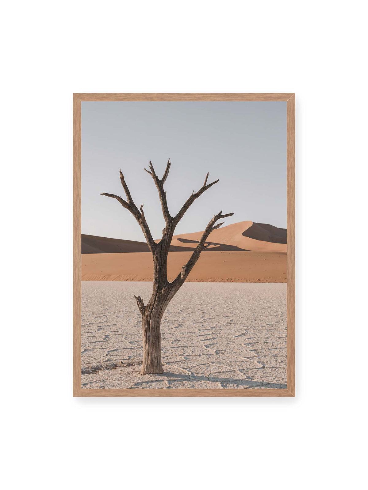 50x70 cm, Eichenrahmen – Kahler Baum auf hellem, rissigem Boden vor orangefarbenen Sanddünen unter blassem Himmel.