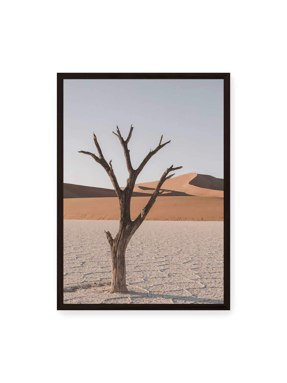 50x70 cm, schwarzer Rahmen – Kahler Baum auf hellem, rissigem Boden vor orangefarbenen Sanddünen unter blassem Himmel.