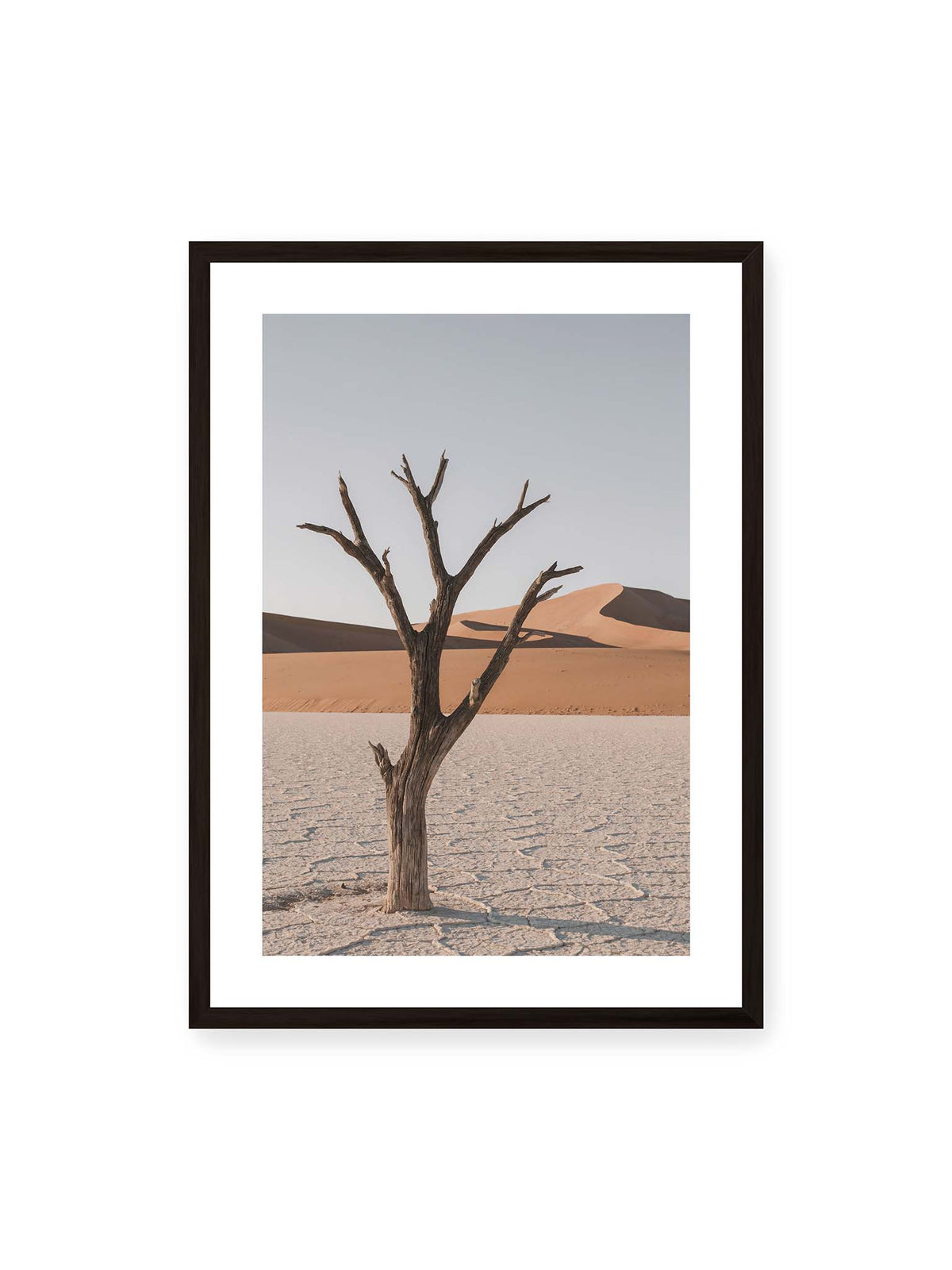50x70 cm, weißer Galerie-Rand, schwarzer Rahmen – Kahler Baum auf hellem, rissigem Boden vor orangefarbenen Sanddünen unter blassem Himmel.