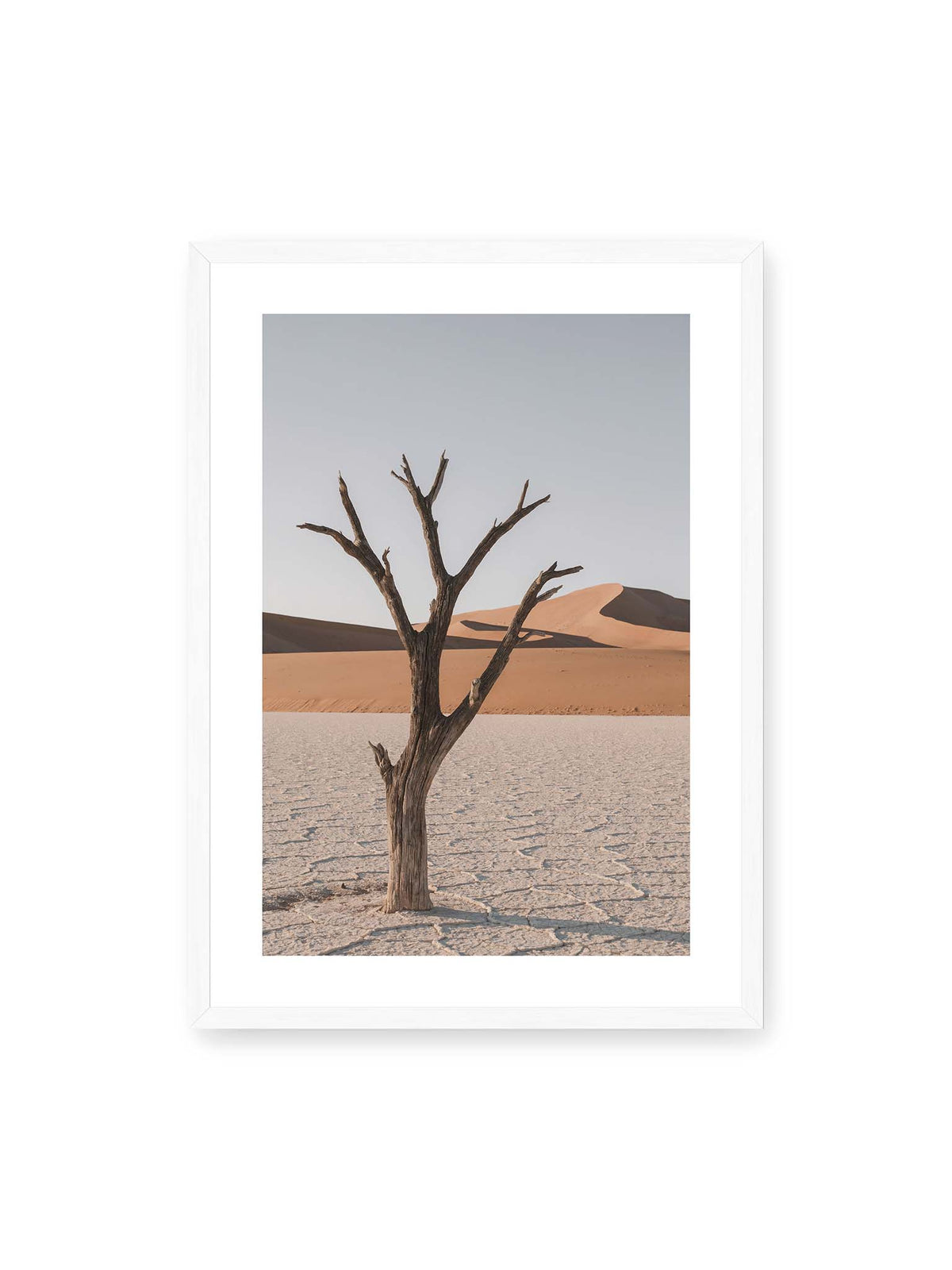 50x70 cm, weißer Galerie-Rand, weißer Rahmen – Kahler Baum auf hellem, rissigem Boden vor orangefarbenen Sanddünen unter blassem Himmel.
