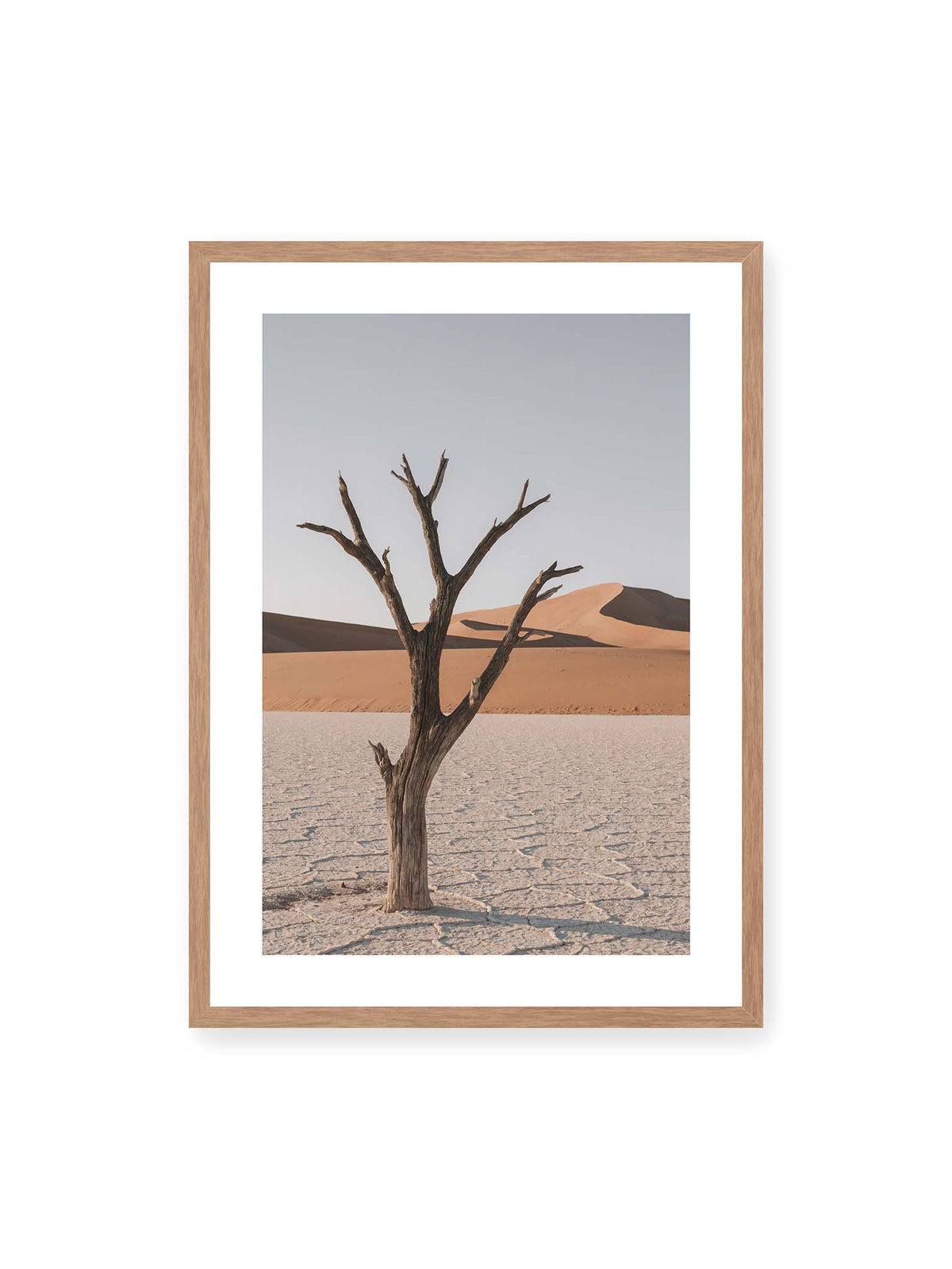 Between Sand and Salt