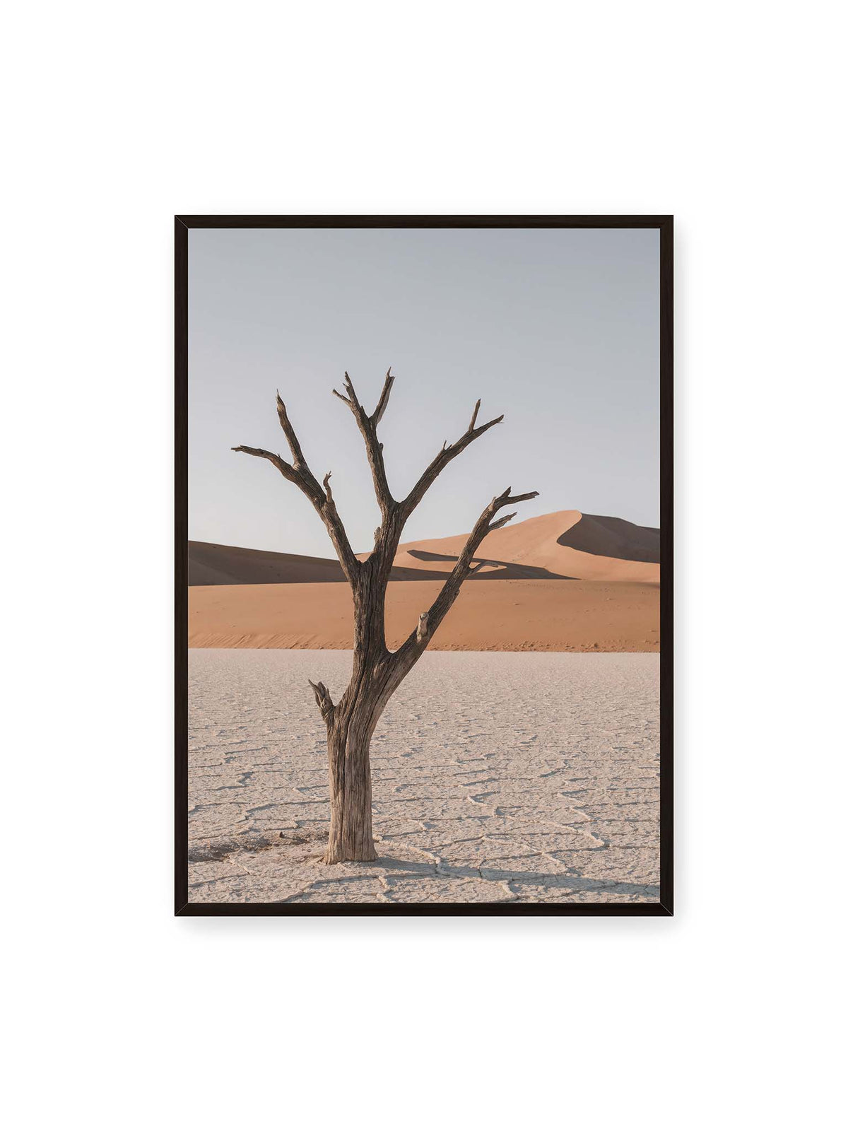70x100 cm, schwarzer Rahmen – Kahler Baum auf hellem, rissigem Boden vor orangefarbenen Sanddünen unter blassem Himmel.