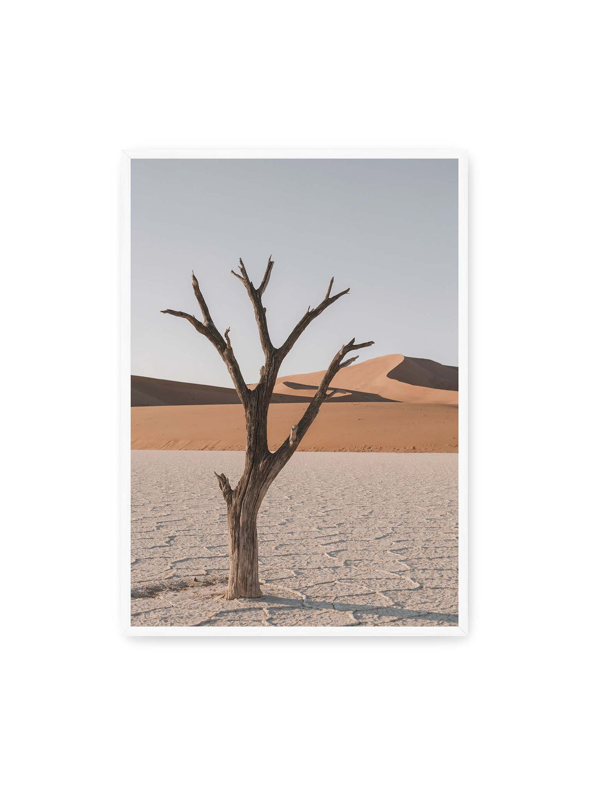 70x100 cm, weißer Rahmen – Kahler Baum auf hellem, rissigem Boden vor orangefarbenen Sanddünen unter blassem Himmel.
