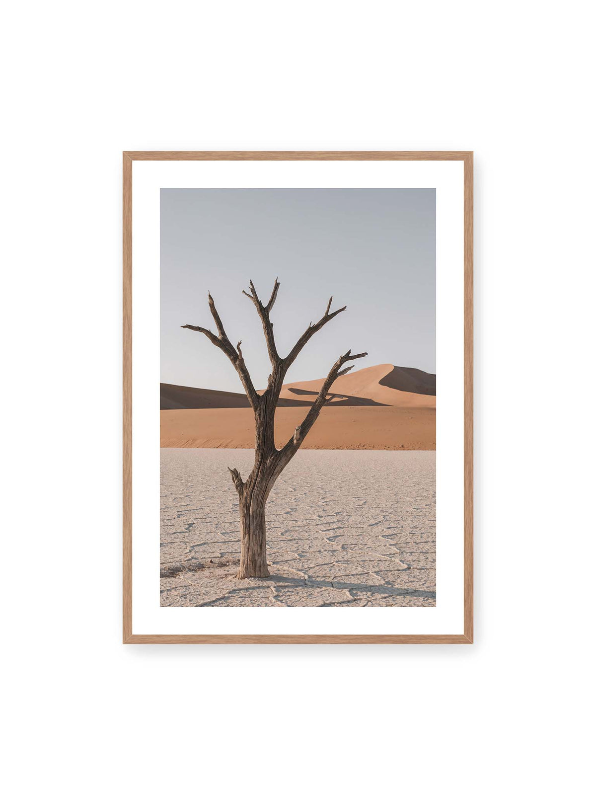 70x100 cm, weißer Galerie-Rand, Eichenrahmen – Kahler Baum auf hellem, rissigem Boden vor orangefarbenen Sanddünen unter blassem Himmel.