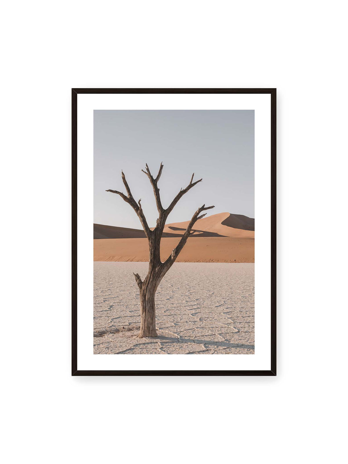 70x100 cm, weißer Galerie-Rand, schwarzer Rahmen – Kahler Baum auf hellem, rissigem Boden vor orangefarbenen Sanddünen unter blassem Himmel.