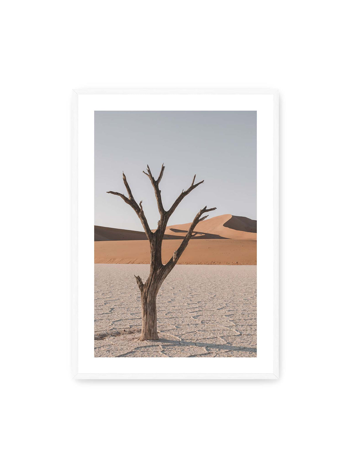 70x100 cm, weißer Galerie-Rand, weißer Rahmen – Kahler Baum auf hellem, rissigem Boden vor orangefarbenen Sanddünen unter blassem Himmel.