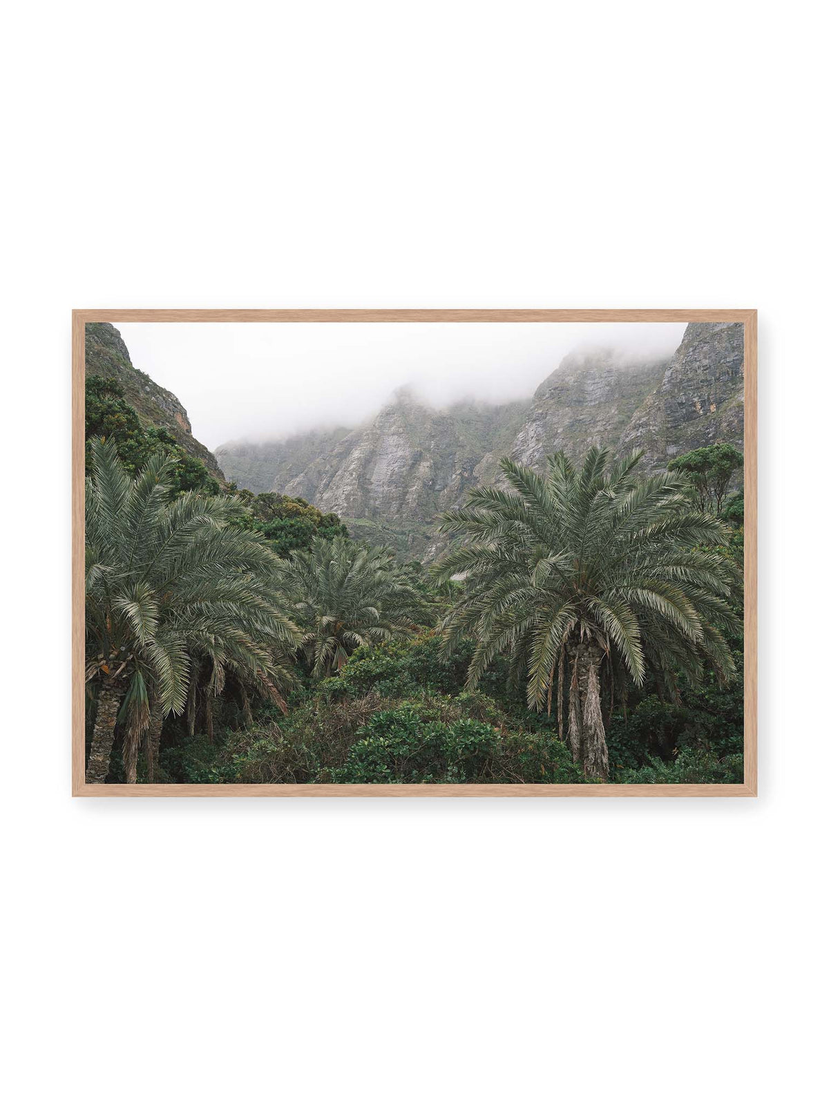 100x70 cm, Eichenrahmen – Dichte Palmen und grüne Vegetation vor steilen, teilweise von Nebel verhüllten Felswänden.