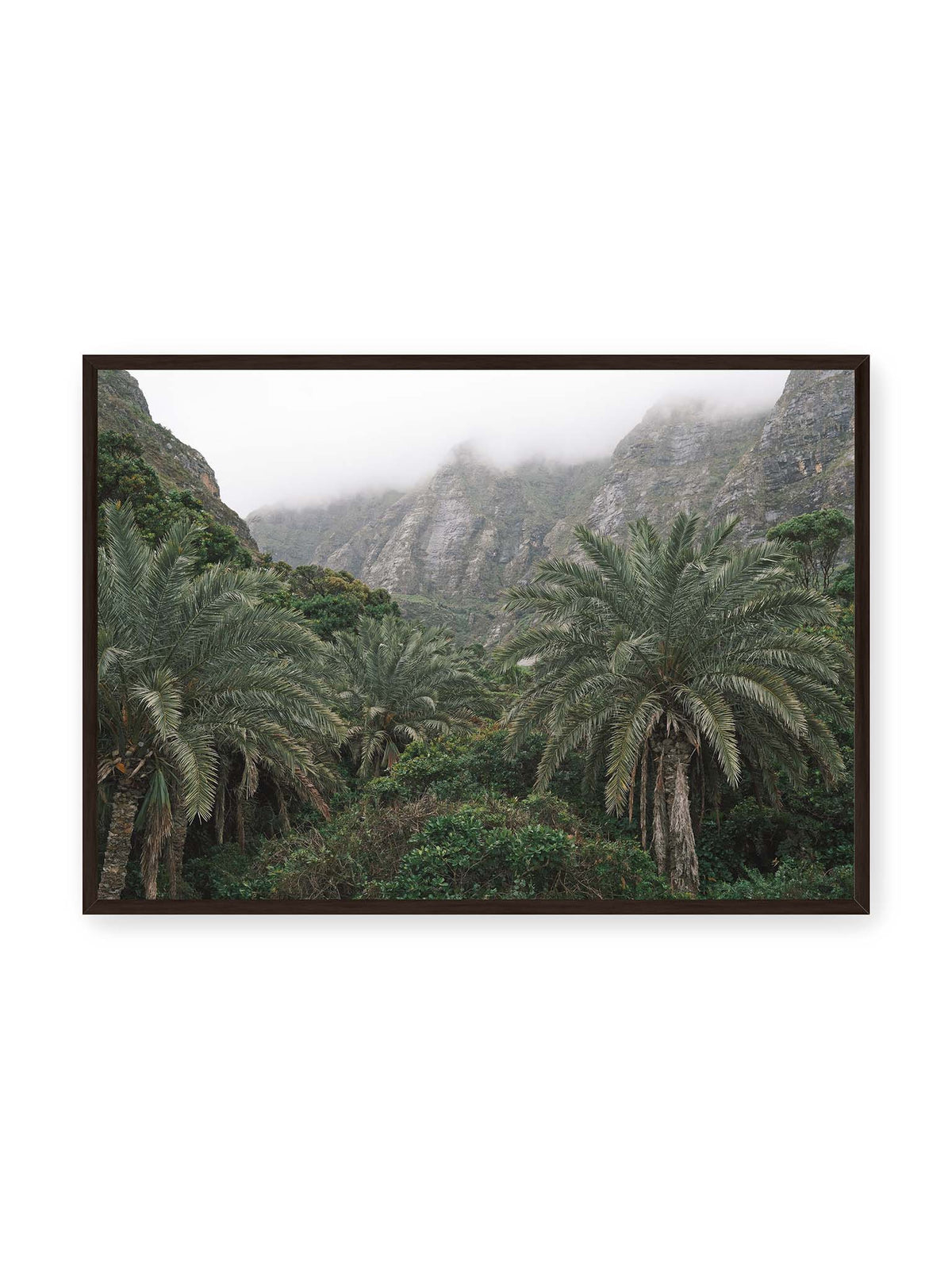 100x70 cm, schwarzer Rahmen – Dichte Palmen und grüne Vegetation vor steilen, teilweise von Nebel verhüllten Felswänden.